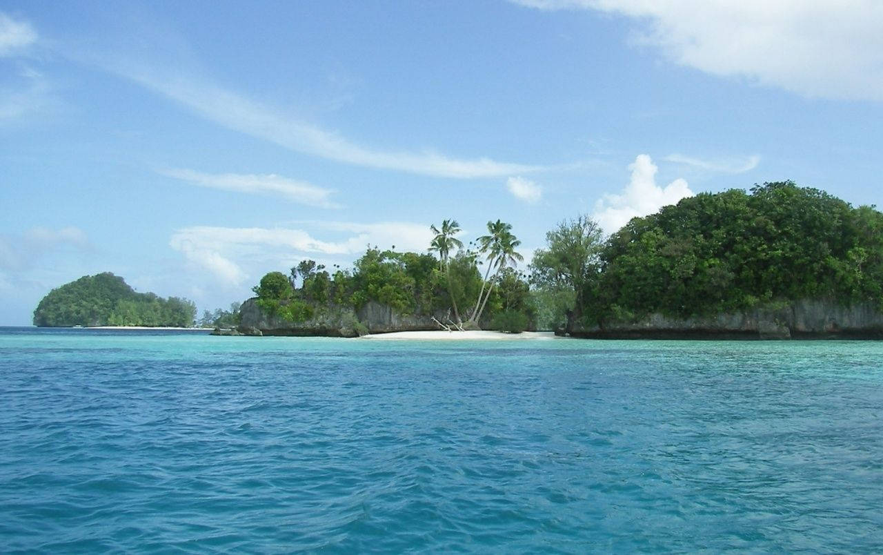 Palau, tropical island, lush greenery, HD Desktop Wallpaper