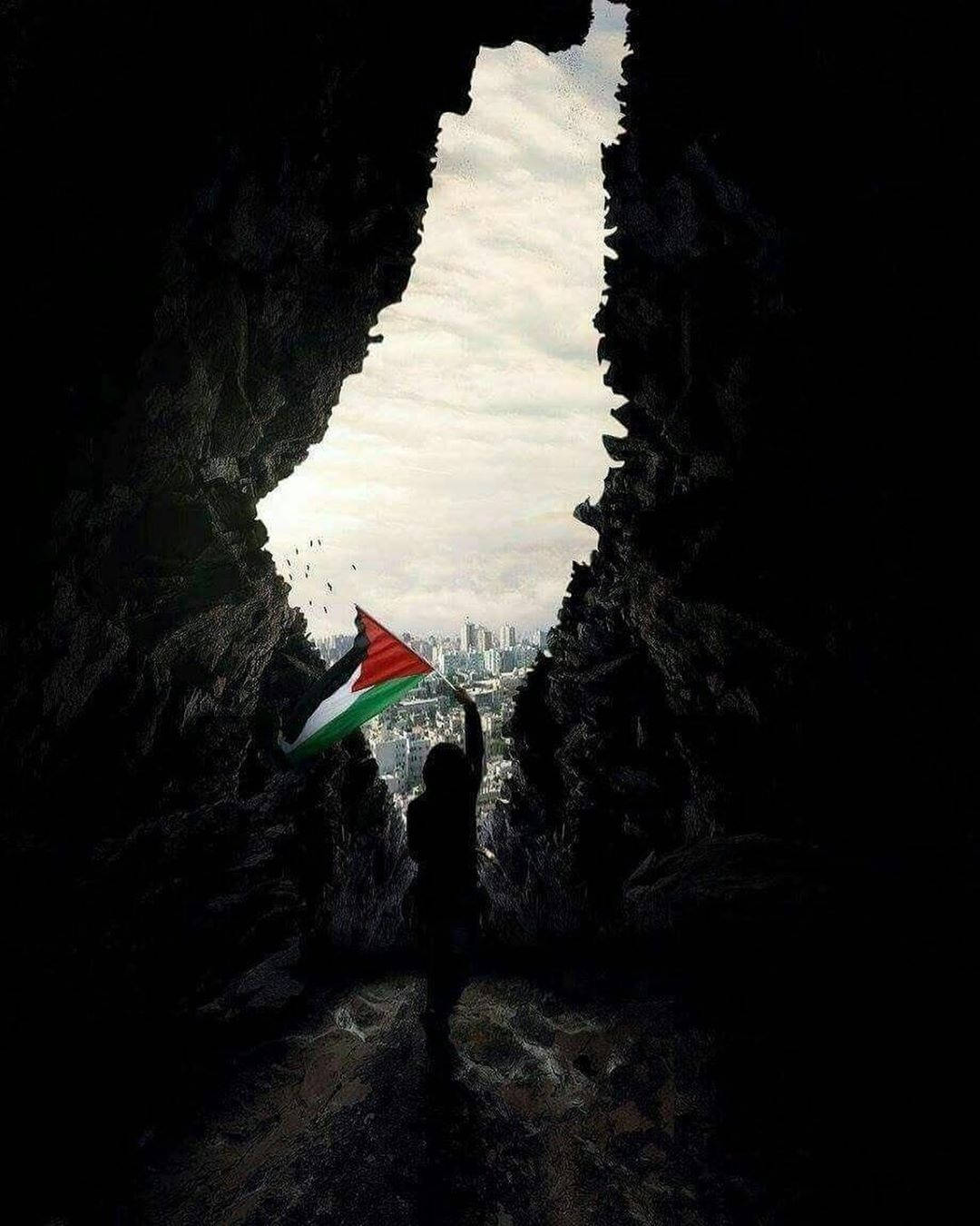Palestine flag, cave, silhouetted person, HD Phone Wallpaper