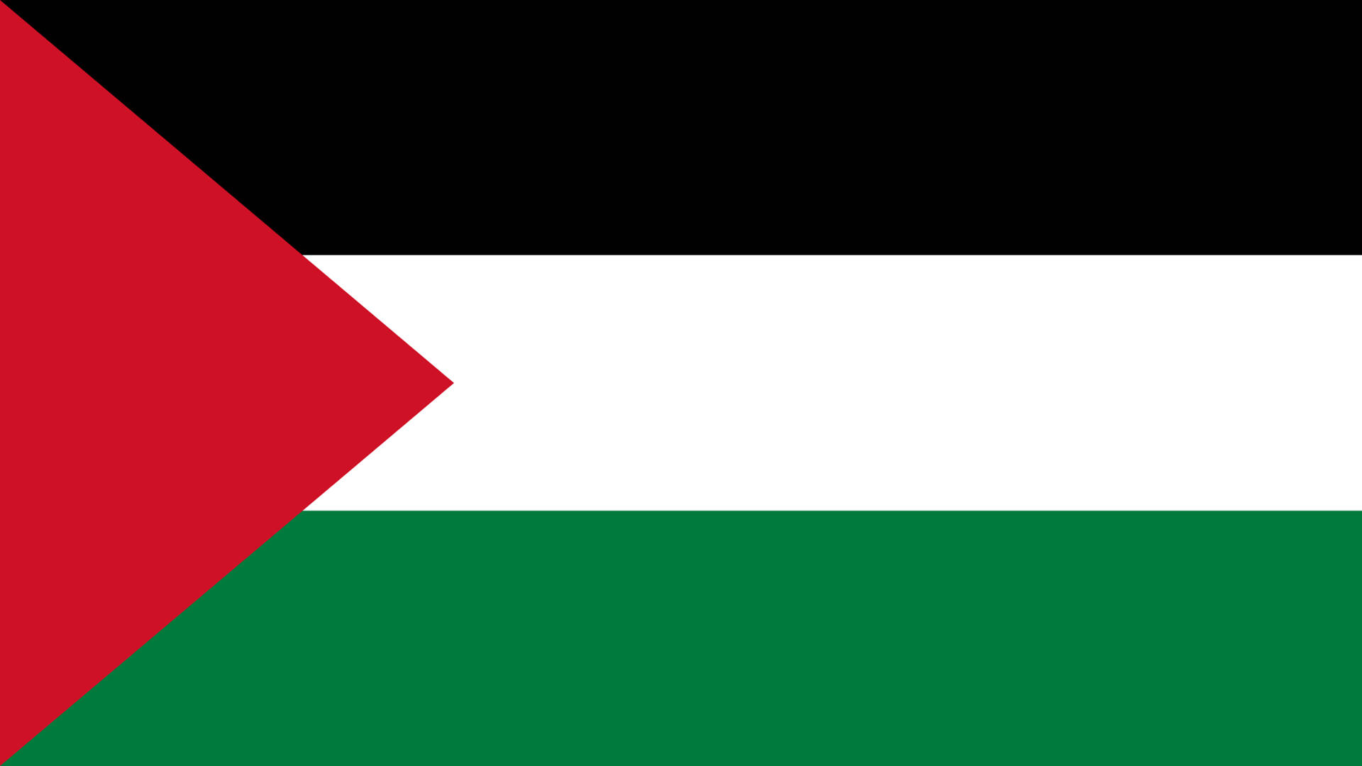 Palestine flag, black, white, Full HD Desktop Wallpaper