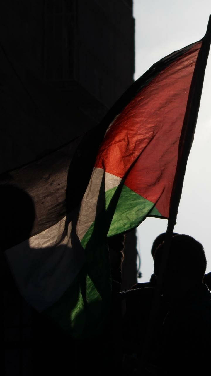 Palestine flag, silhouette, bright sky, HD Phone Wallpaper