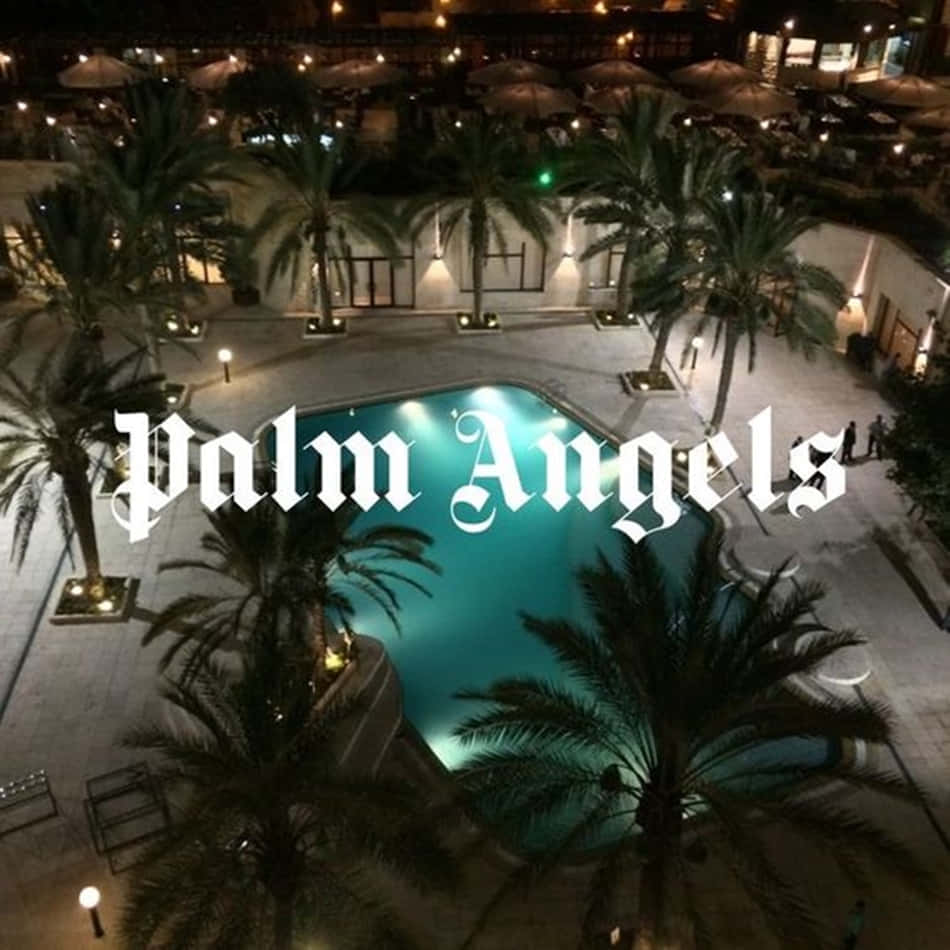Palm Angels, turquoise pool, palm trees, SD Desktop Wallpaper