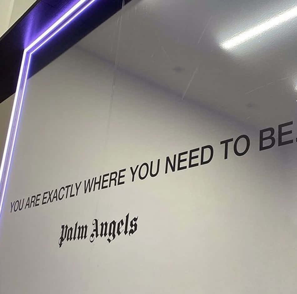 Palm Angels, gothic script, glowing purple neon lights, SD Desktop Wallpaper