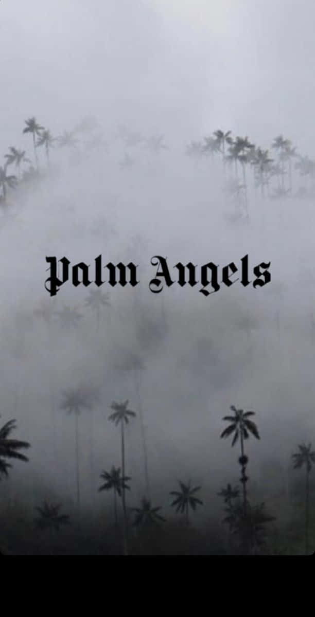 Palm Angels, tropical palms, fog, SD Phone Wallpaper