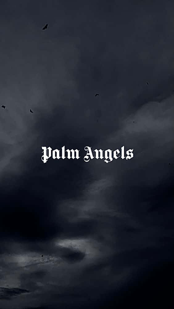 Palm Angels, Dark Sky, stormy sky, SD Phone Wallpaper