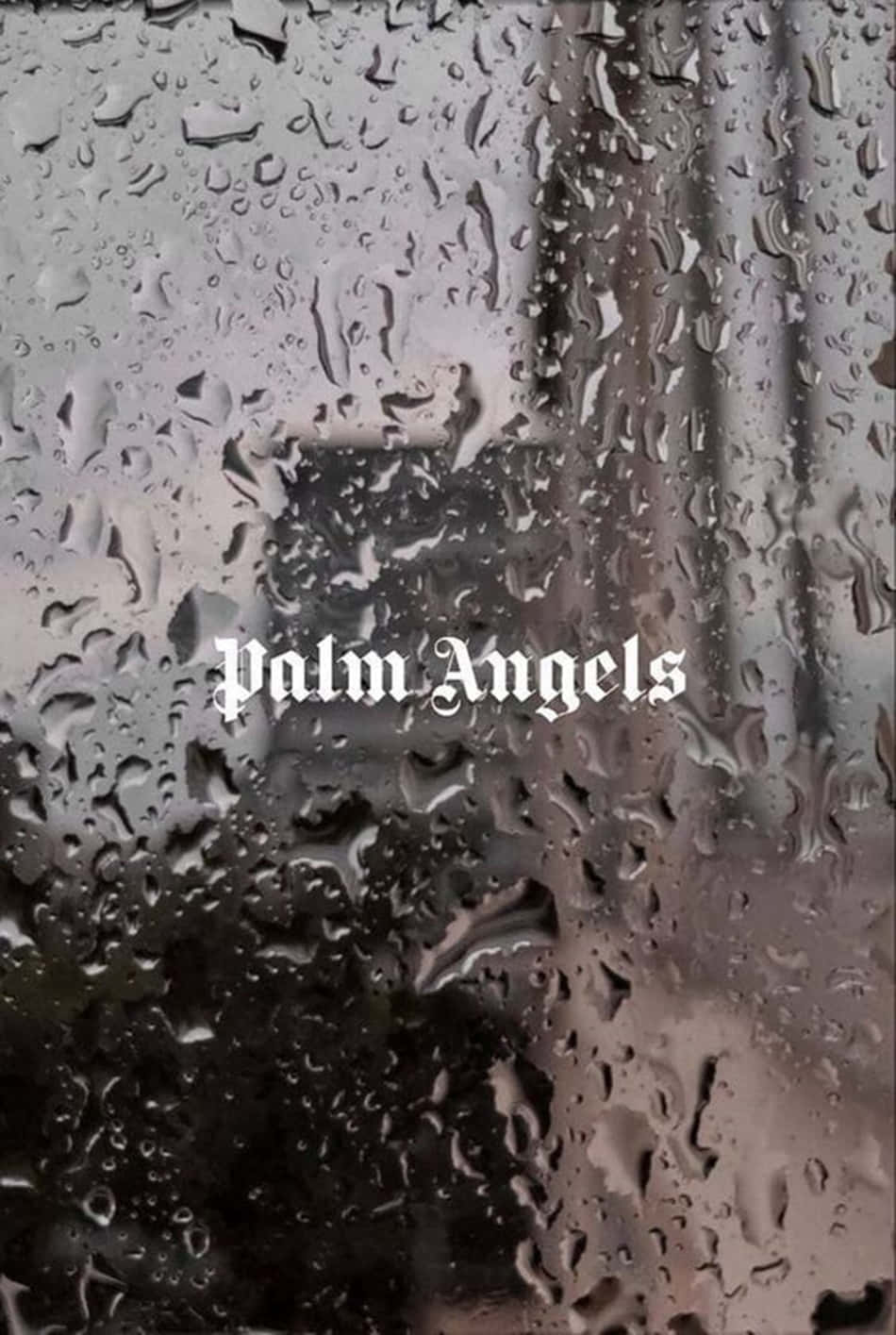 Palm Angels, raindrops, glass pane, HD Phone Wallpaper