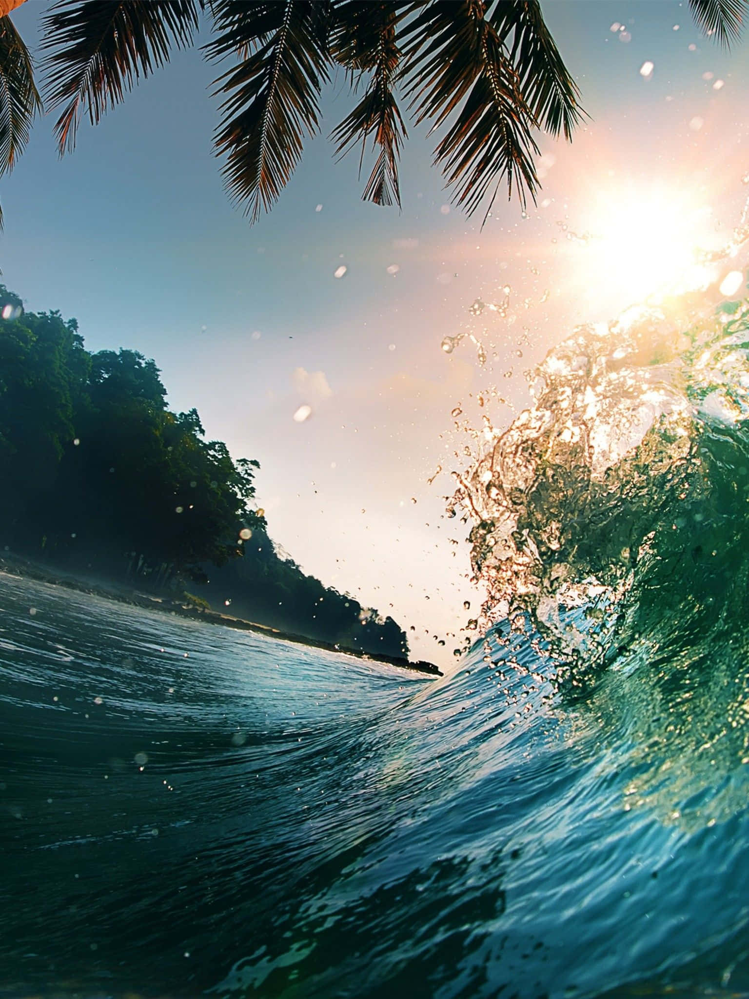 Palm Beach, ocean wave, palm fronds, Full HD Phone Wallpaper