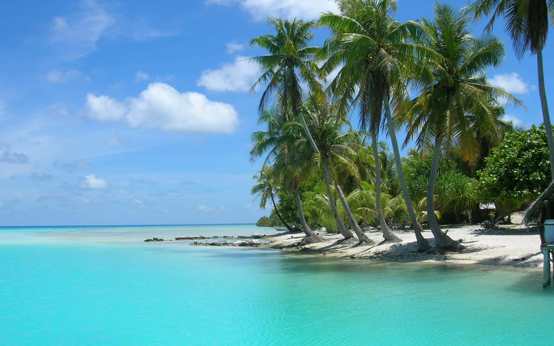Palm Beach, turquoise waters, white sand beach, Full HD Desktop Wallpaper