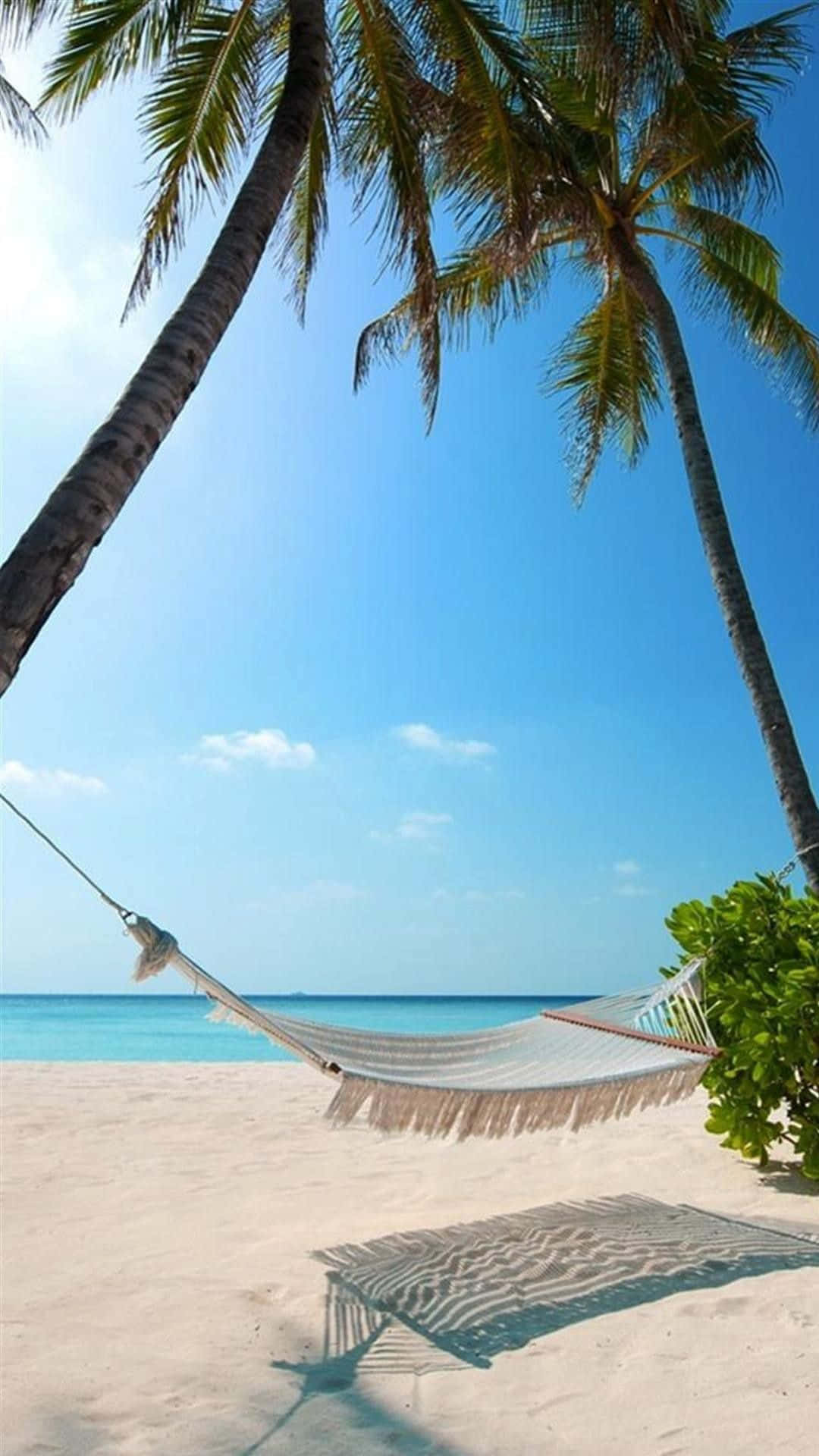 Palm Beach, white hammock, palm trees, Full HD Phone Wallpaper