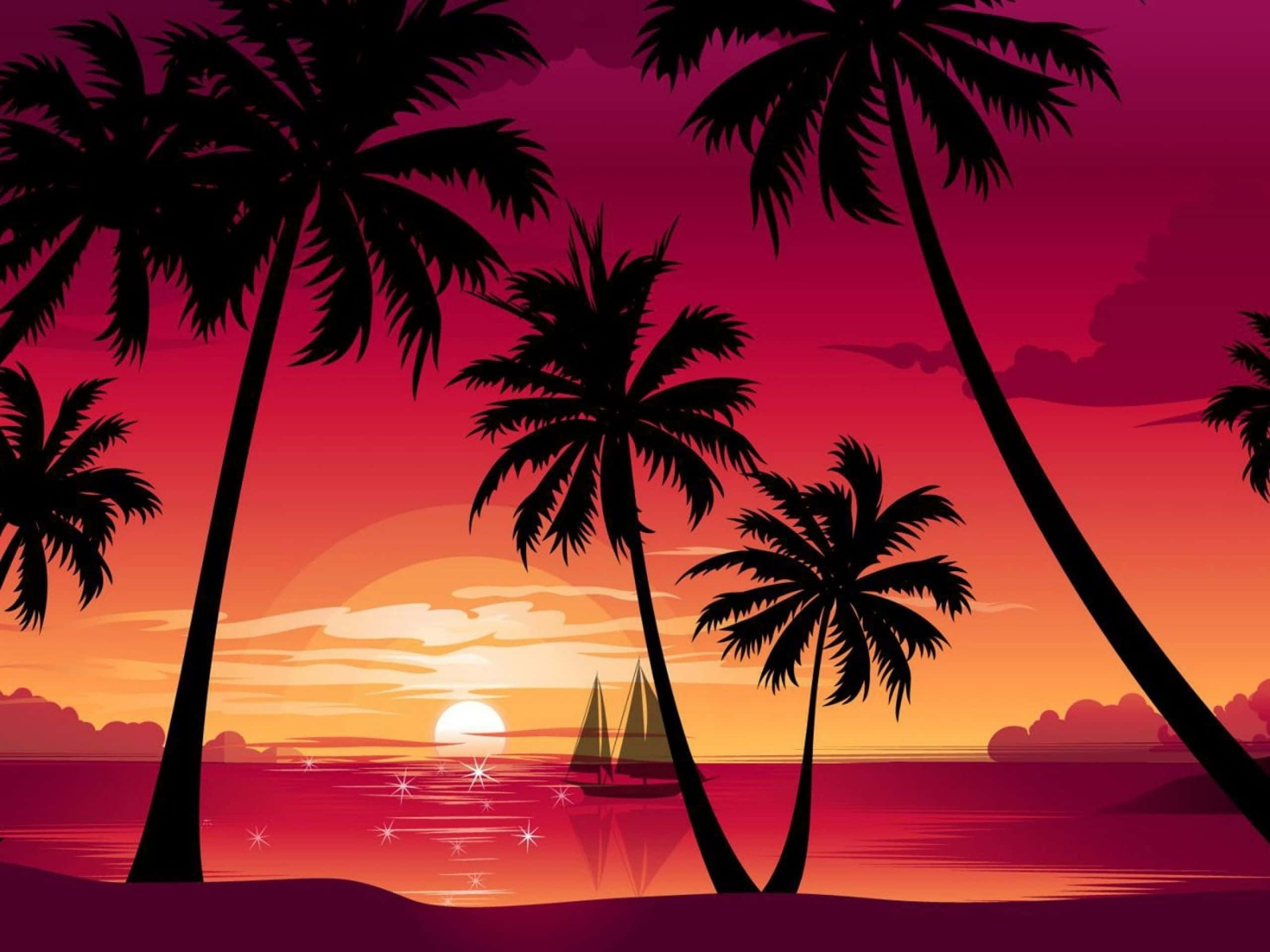 Palm Beach, sailboat, sunset, 2K Desktop Wallpaper