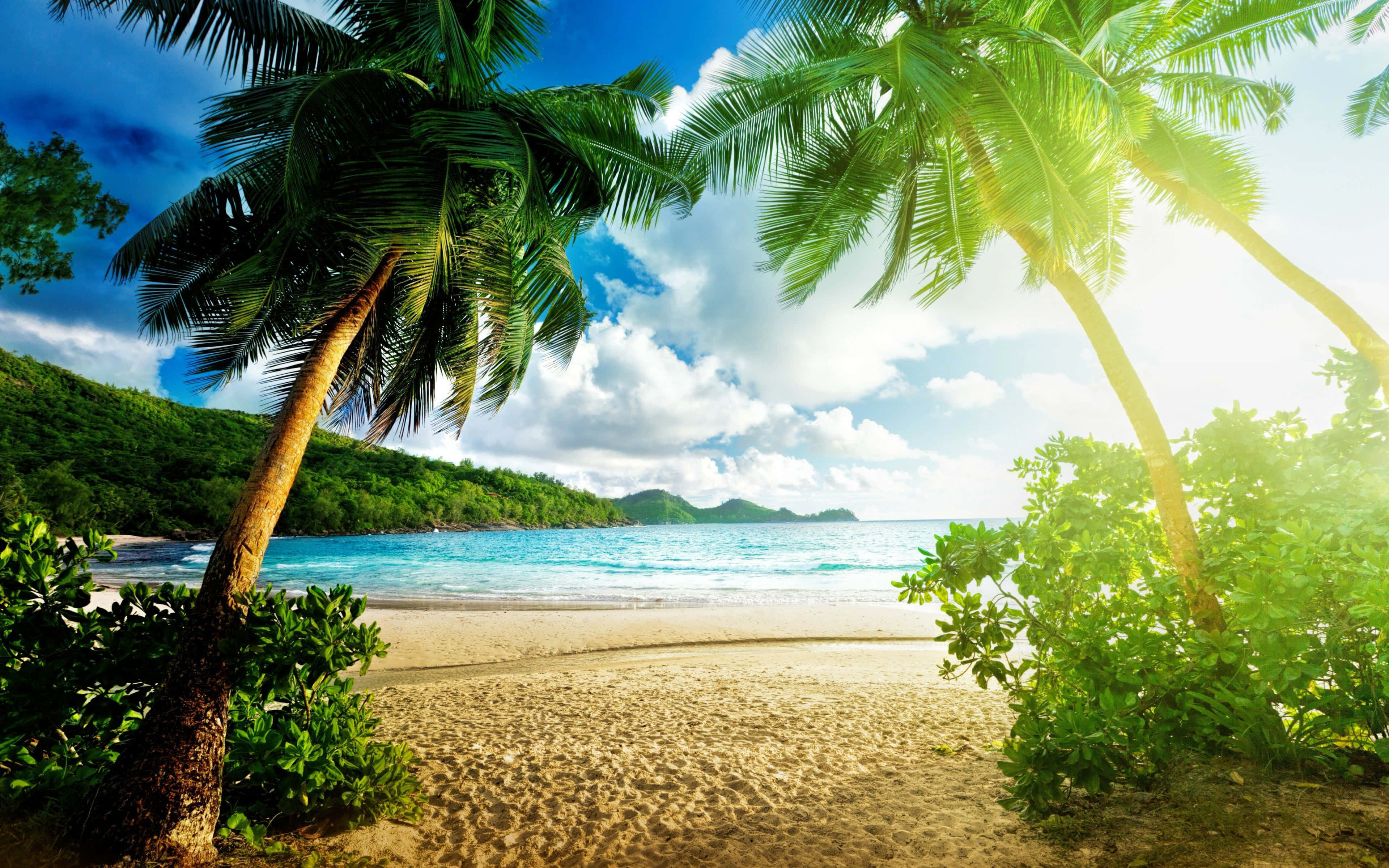 Palm Beach, turquoise water, lush green hills, 4K Desktop Wallpaper
