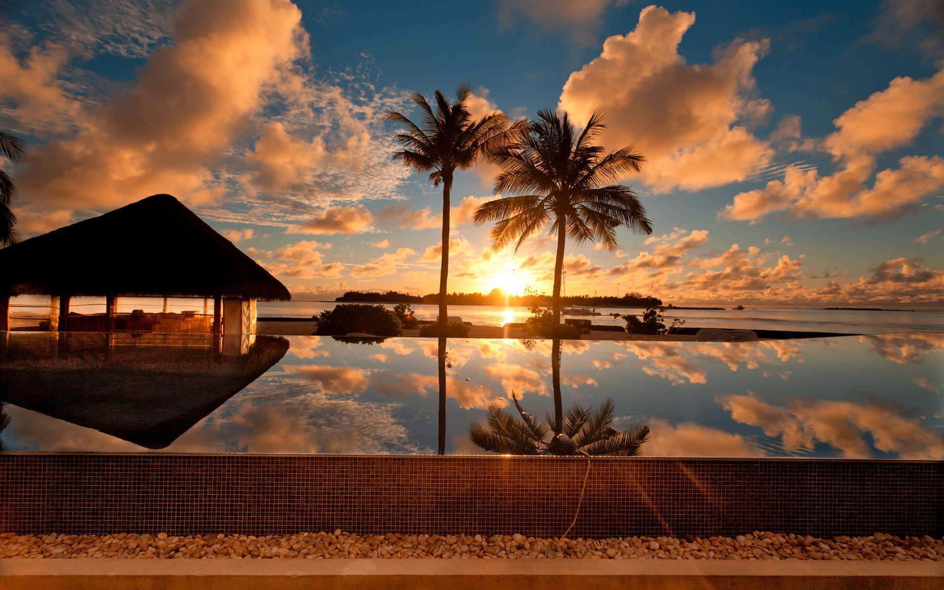 Palm Beach, Sunset, infinity pool, Full HD Desktop Wallpaper