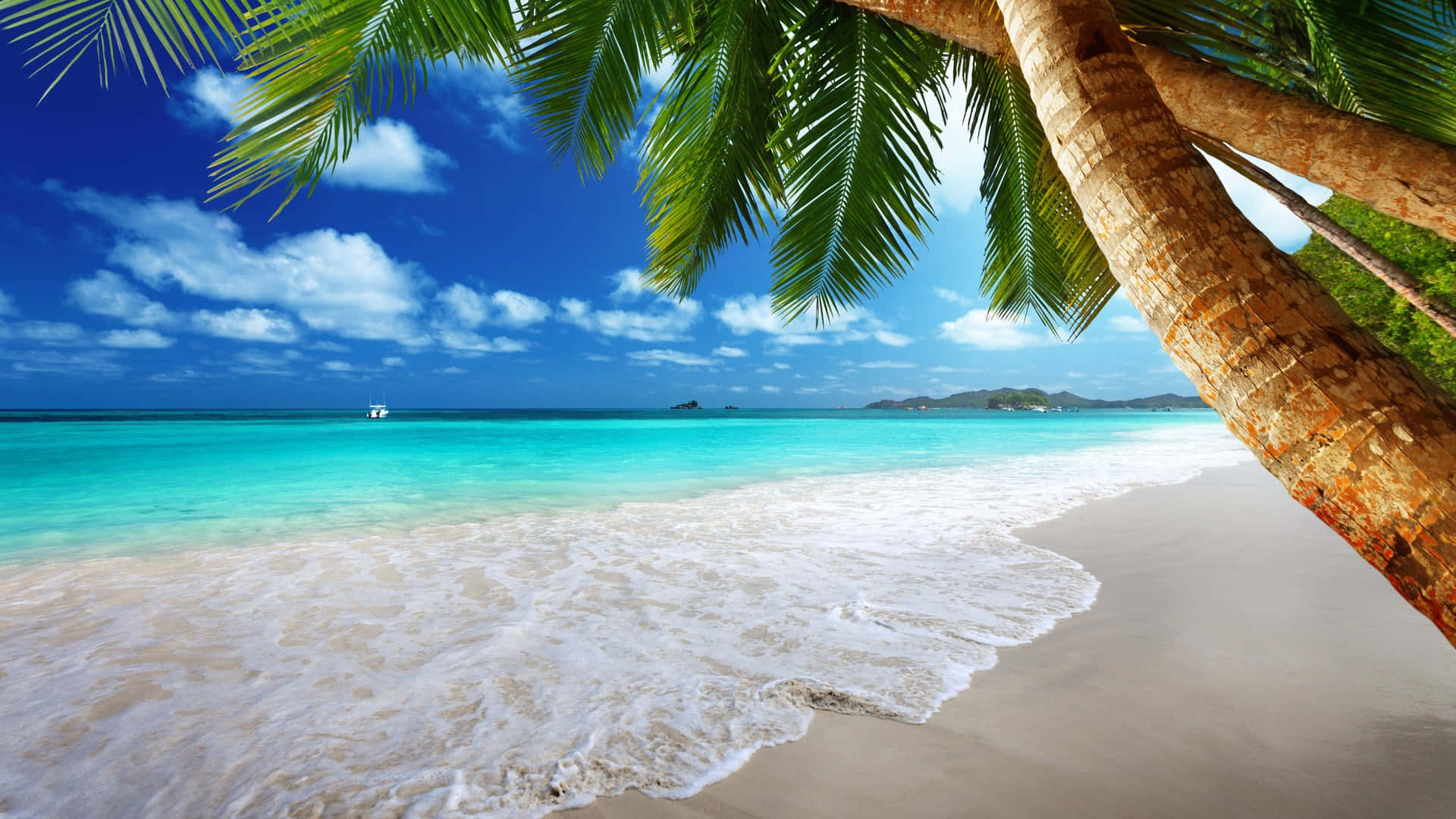 Palm Trees Beach Summer Waves, turquoise waves, sandy shore, Full HD Desktop Wallpaper