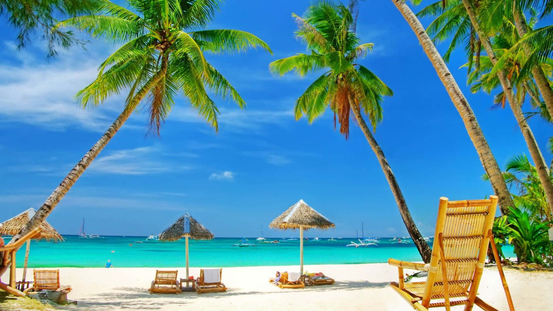 Palm Beach, tropical beach paradise, palm trees, Full HD Desktop Wallpaper