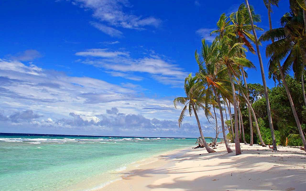 Palm Beach, white sand, turquoise water, HD Desktop Wallpaper