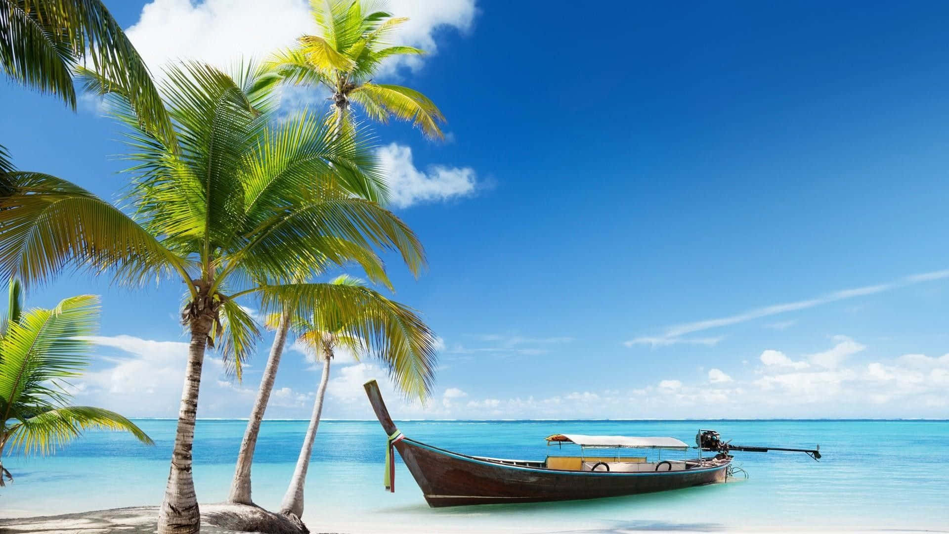 Palm Beach, longtail boat, turquoise waters, Full HD Desktop Wallpaper