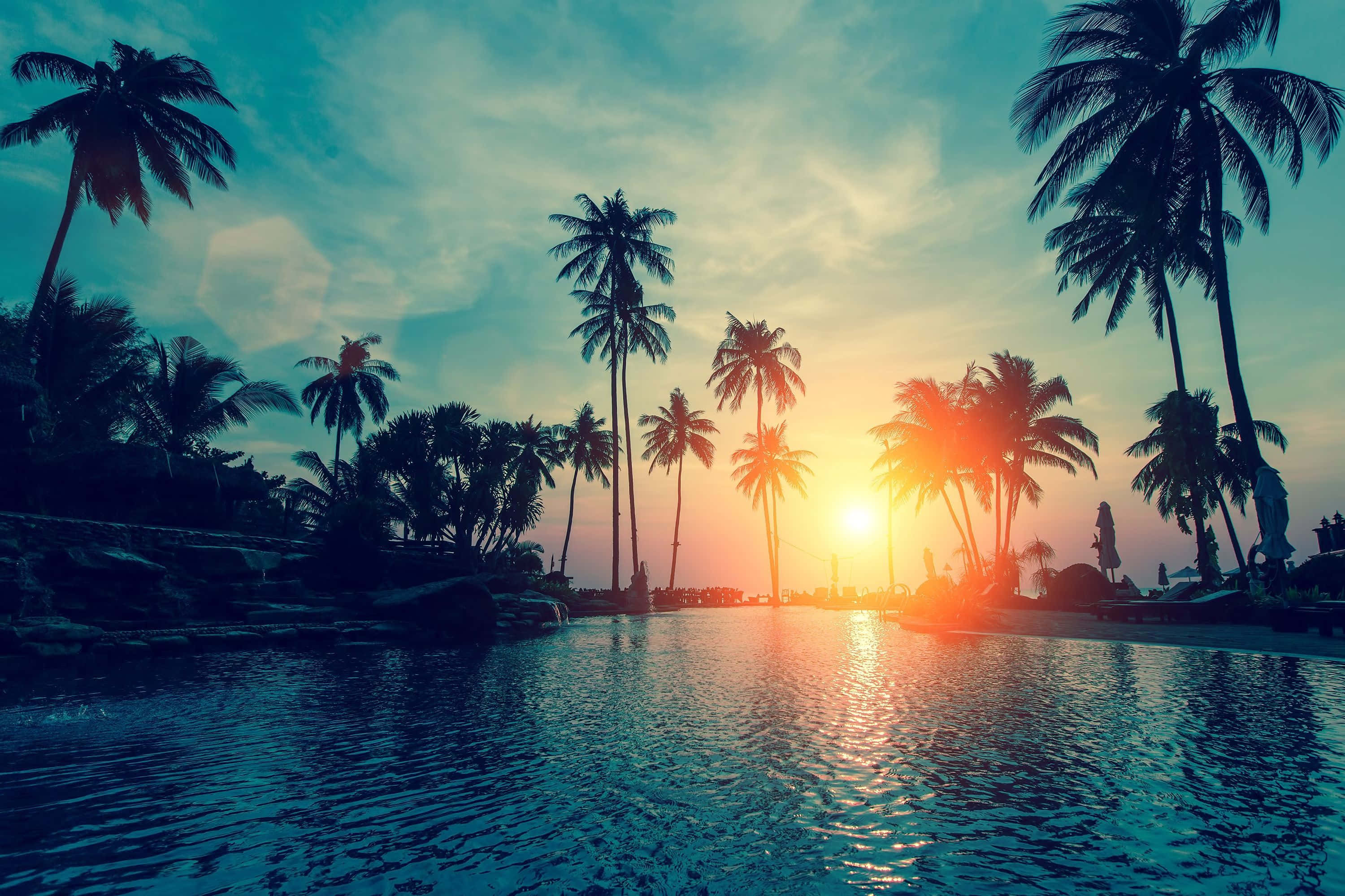 Palm Beach, Sunset, palm trees, 2K Desktop Wallpaper