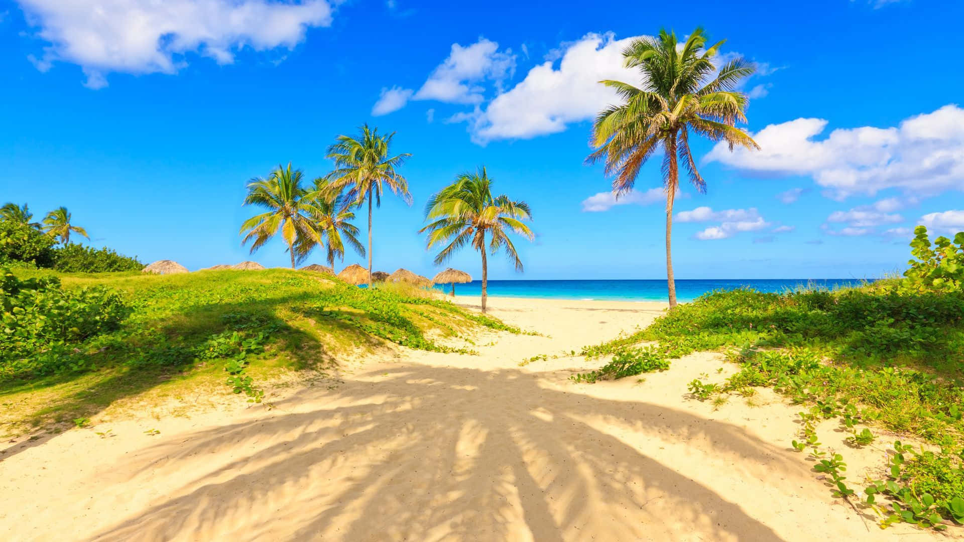 Palm Beach, turquoise beach, palm trees, Full HD Desktop Wallpaper