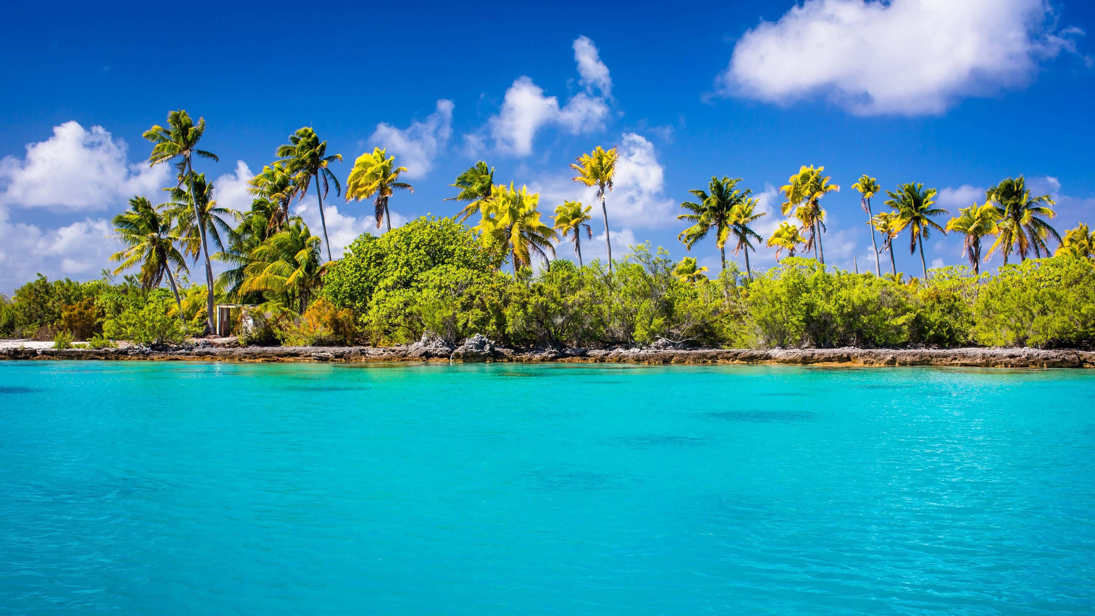 Palm Beach, turquoise waters, tropical island, 4K Desktop Wallpaper