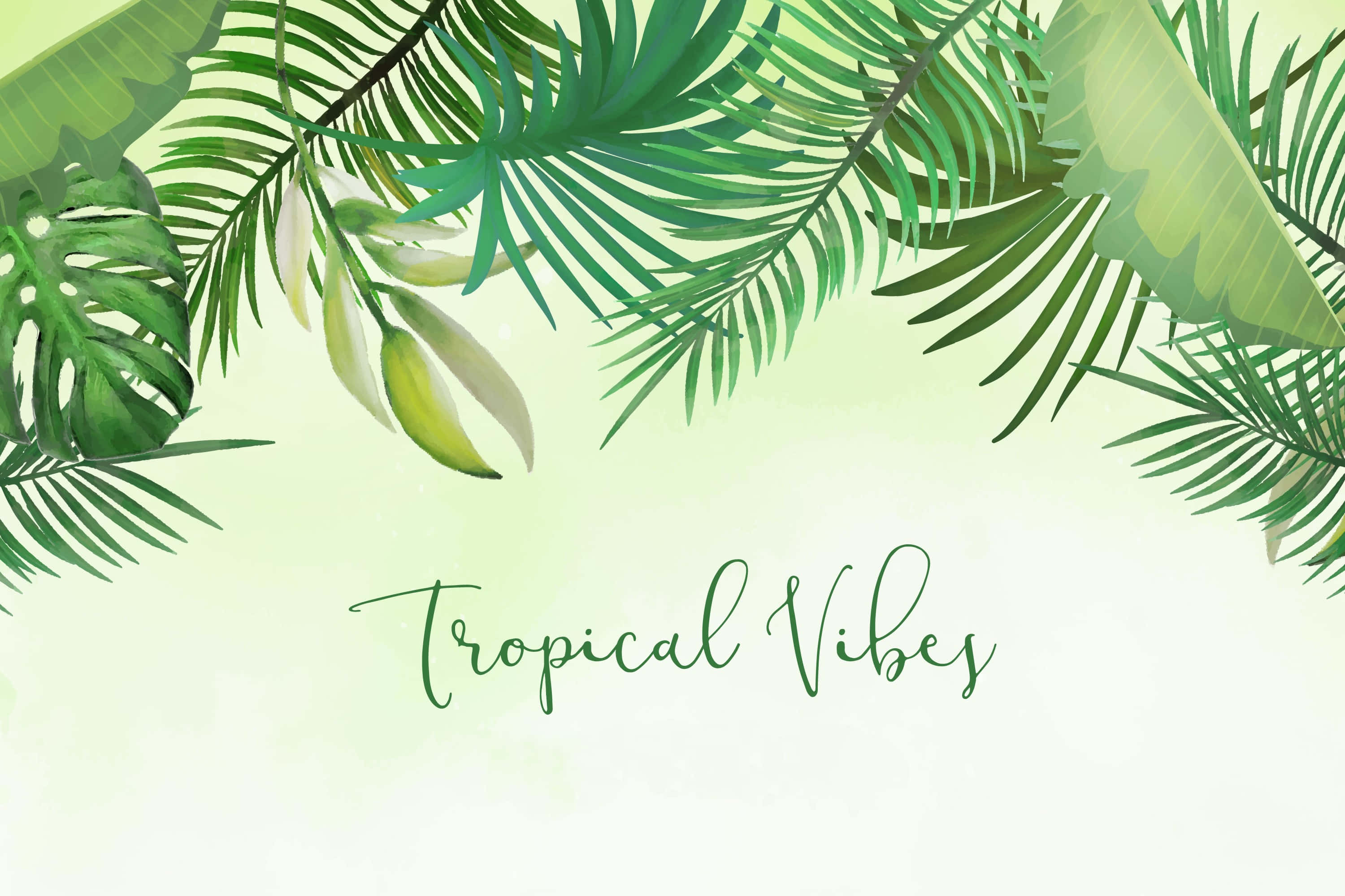 Tropical Vibes, palm fronds, soft green background, 2K Desktop Wallpaper