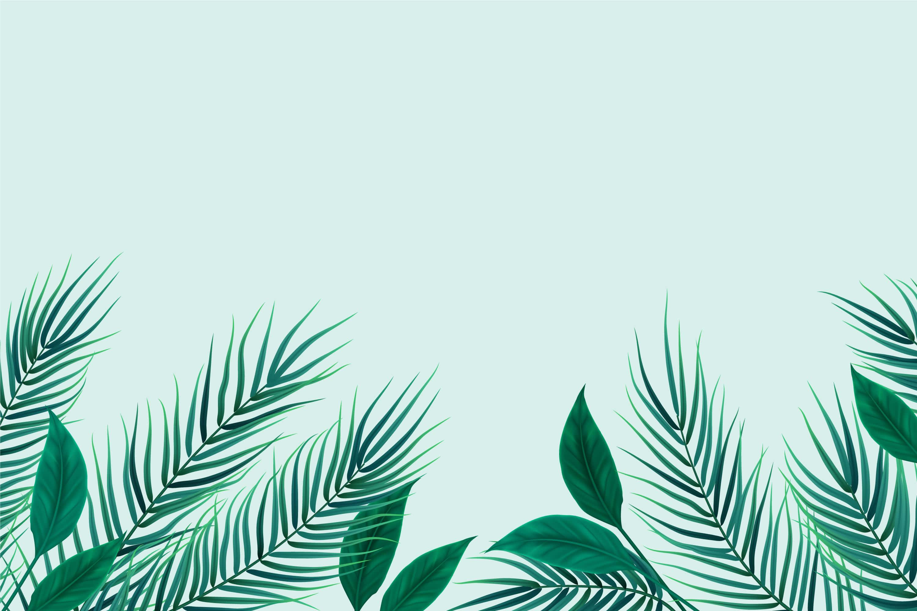 tropical palm fronds, mint green background, vibrant green palm fronds, 2K Desktop Wallpaper