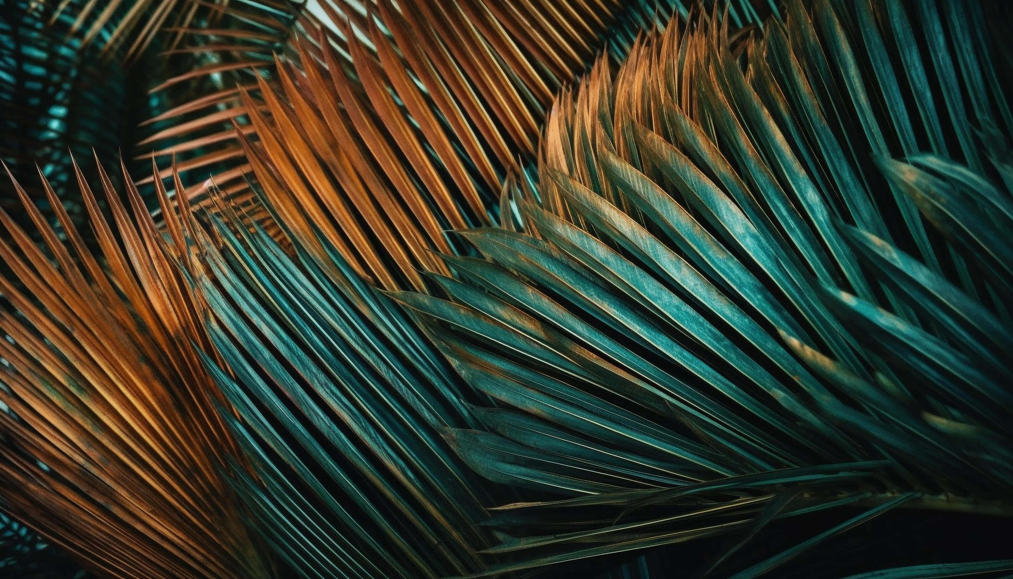 tropical palm frond texture, amber, teal, 2K Desktop Wallpaper