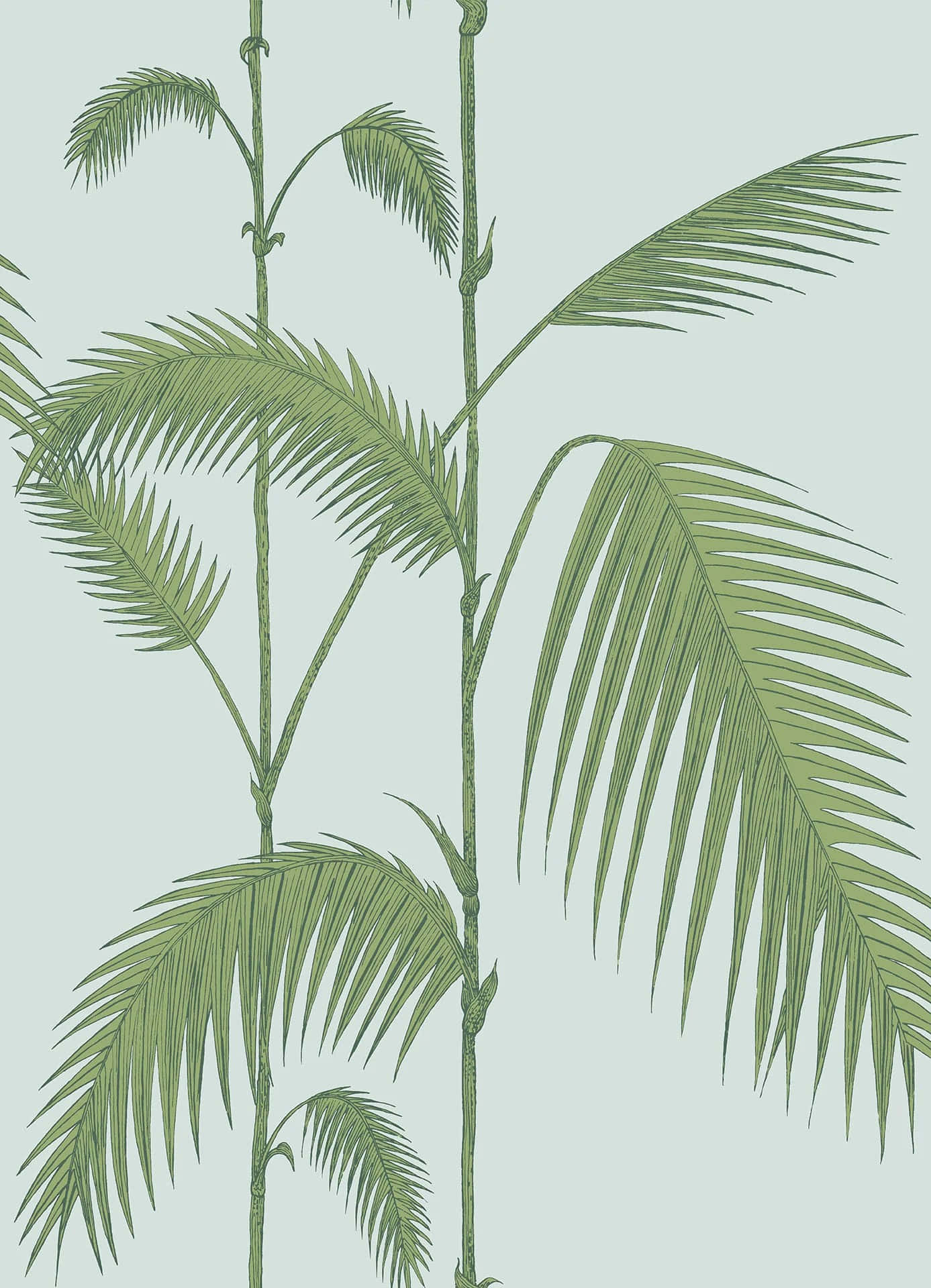 tropical palm fronds, green palm fronds, detailed stems, Full HD Phone Wallpaper