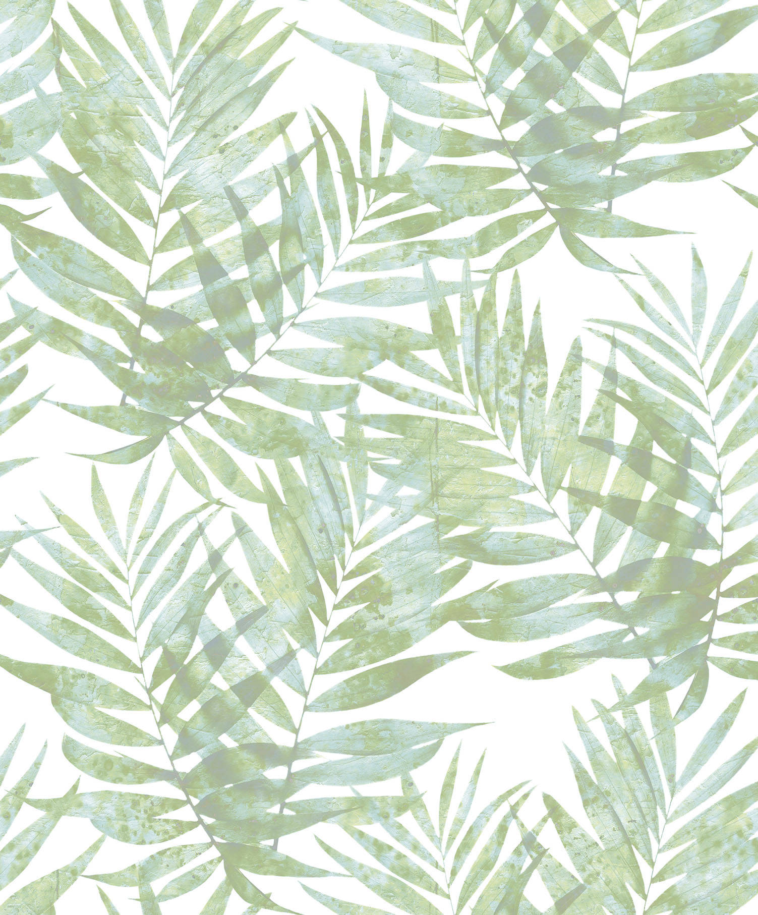 speckled palm, fern leaves, translucent green, HD Phone Wallpaper