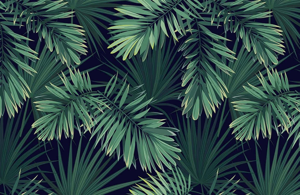 palm fronds, vibrant green, yellow tips, SD Desktop Wallpaper