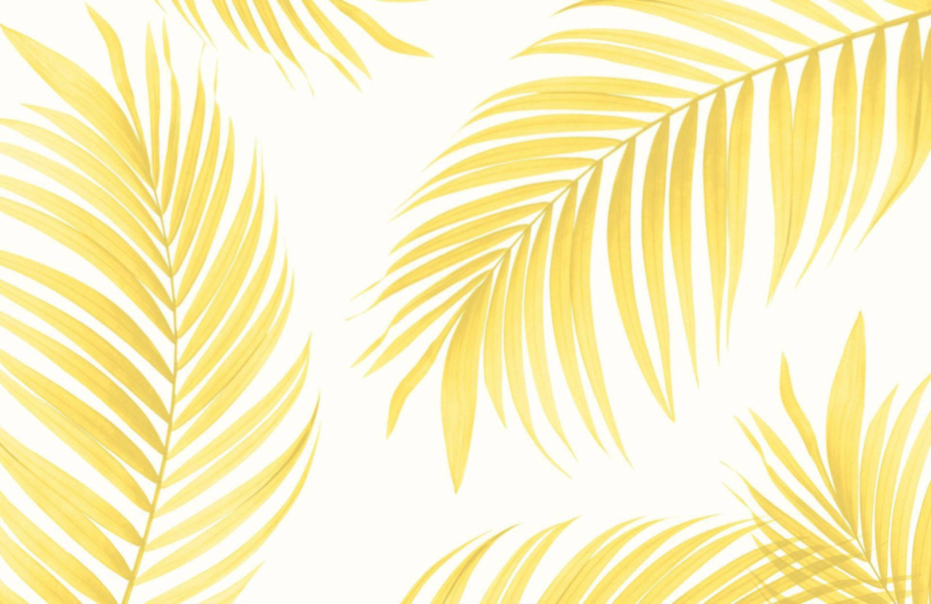 pastel yellow, tropical palm leaves, golden palm fronds, Full HD Desktop Wallpaper