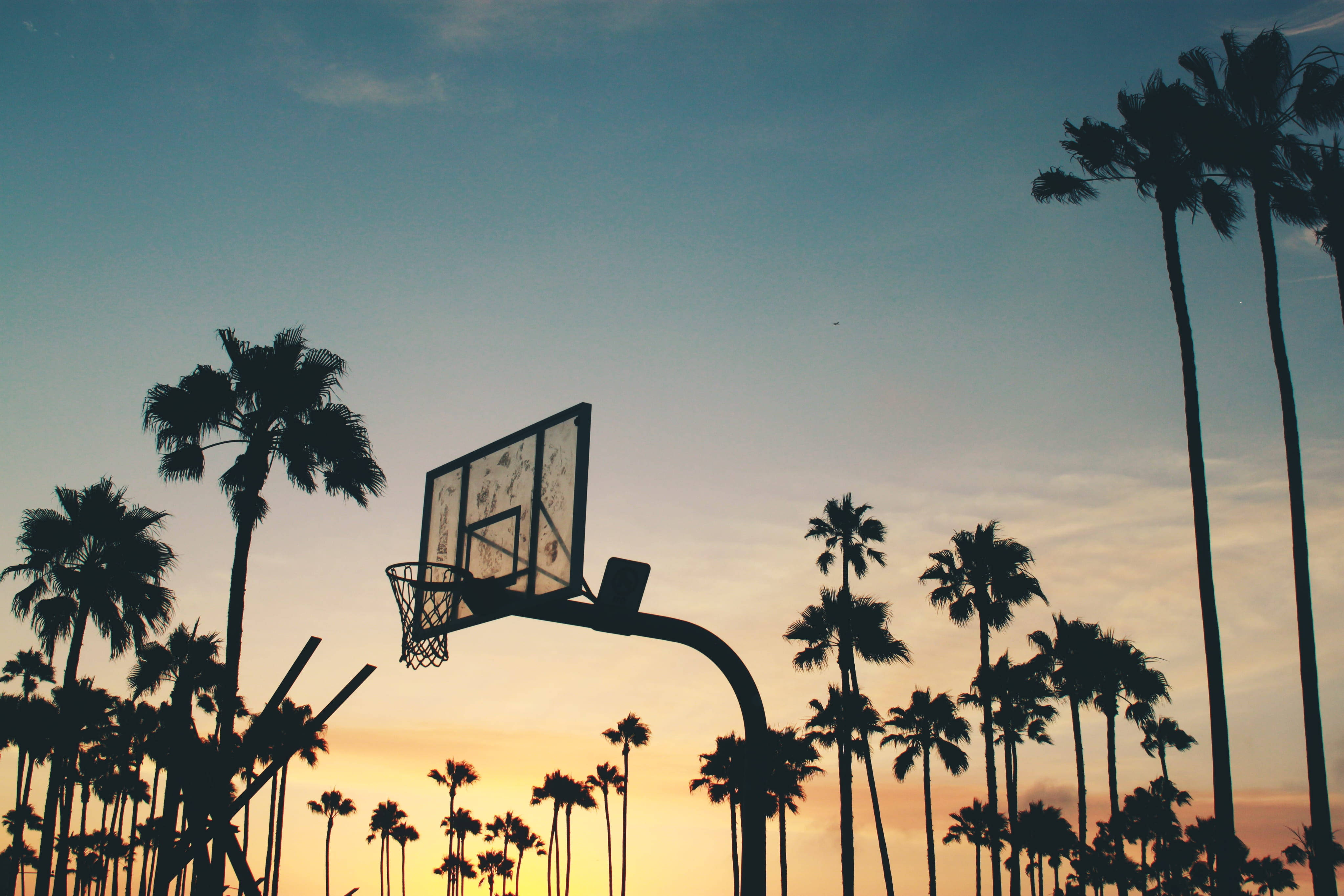 Palm Tree Sunset, basketball hoop, palm trees, 4K Desktop Wallpaper