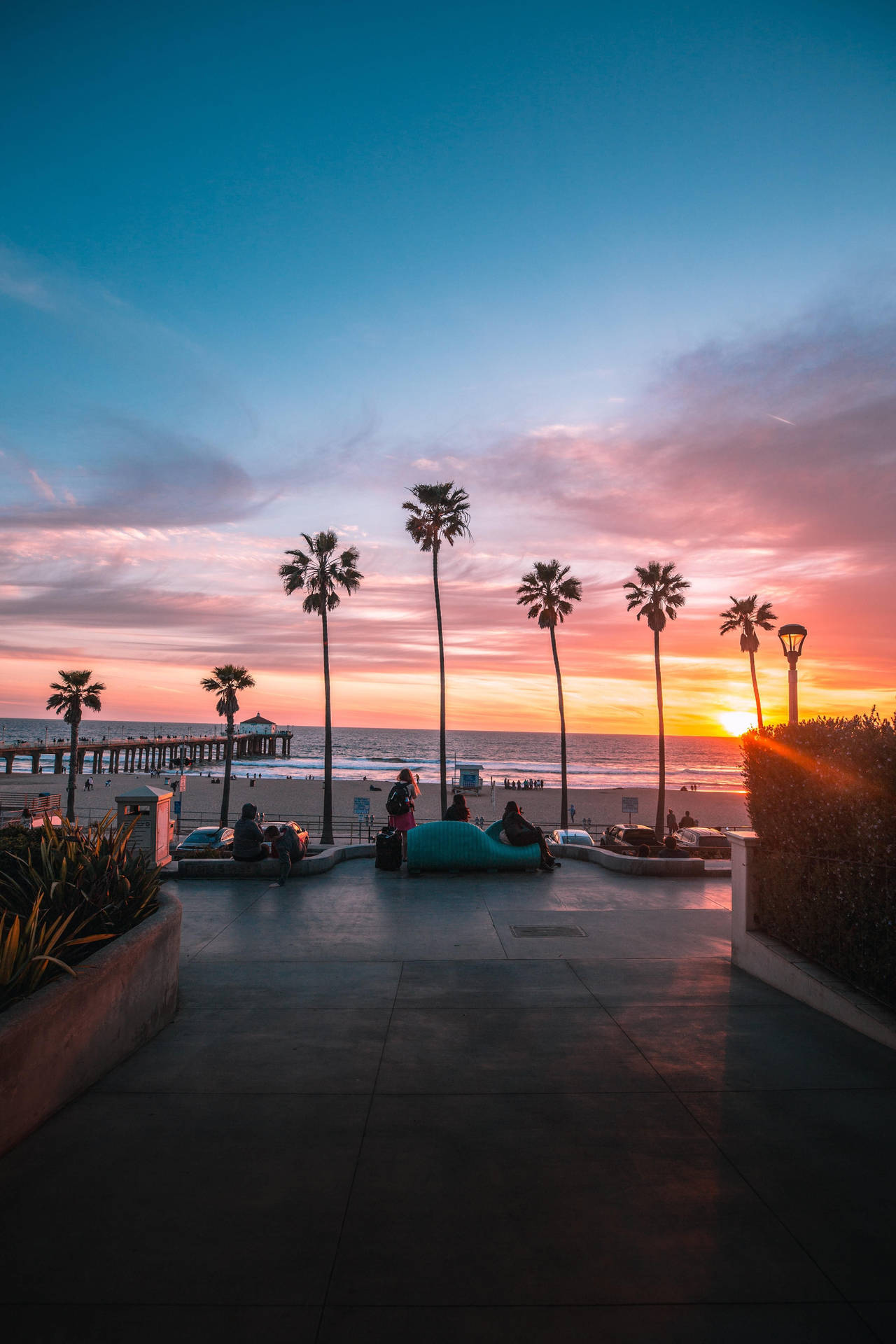 palm trees, vibrant sunset, ocean, Full HD Phone Wallpaper
