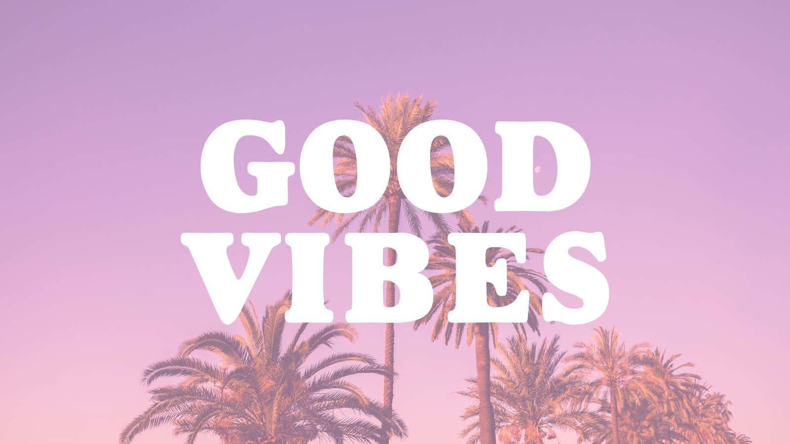 Palm trees, soft pink purple sky, bold white text, HD Desktop Wallpaper