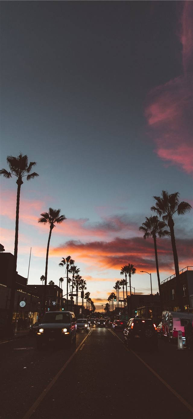 City Sunset Road, iPhone iOS 10, palm trees, HD Phone Wallpaper