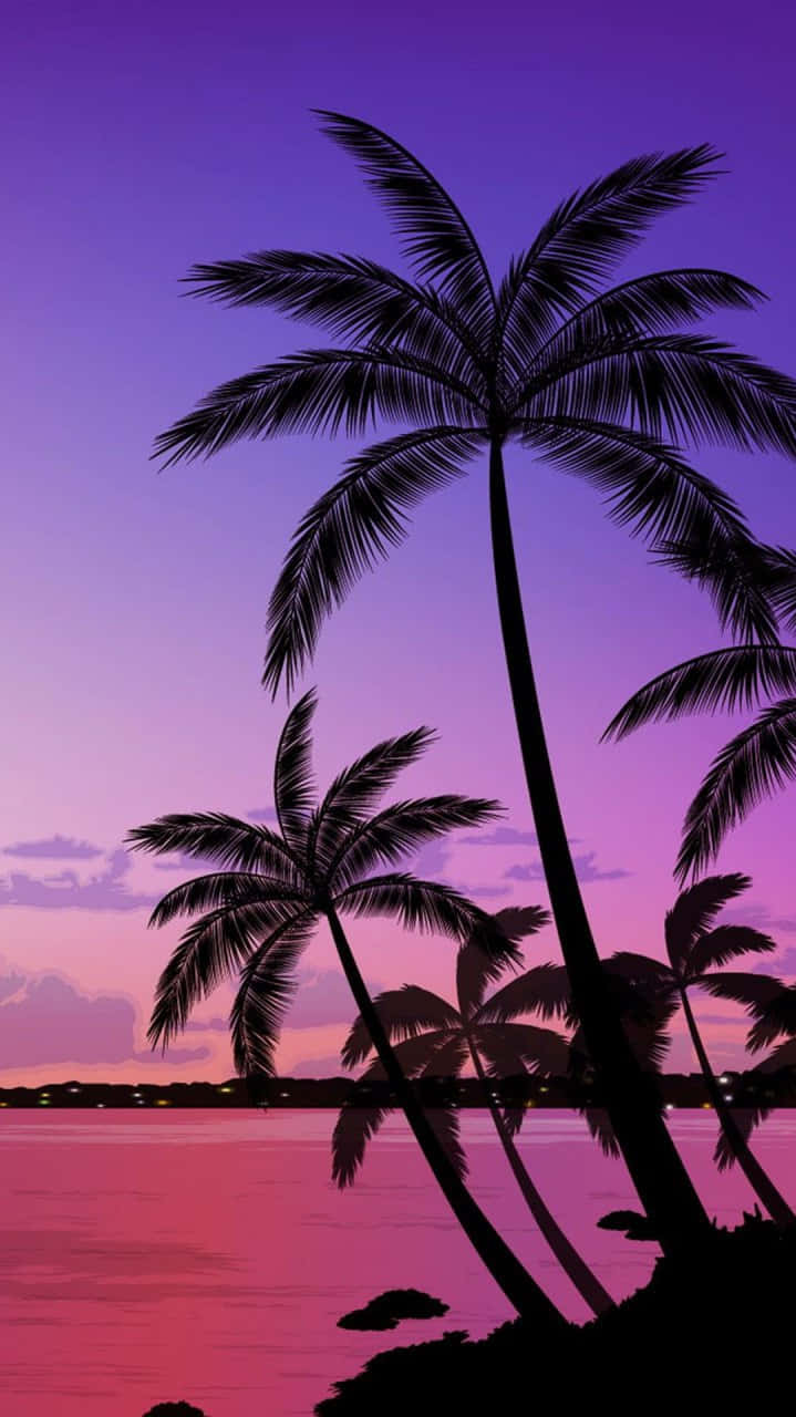 palm trees, beach, sunset, HD Phone Wallpaper