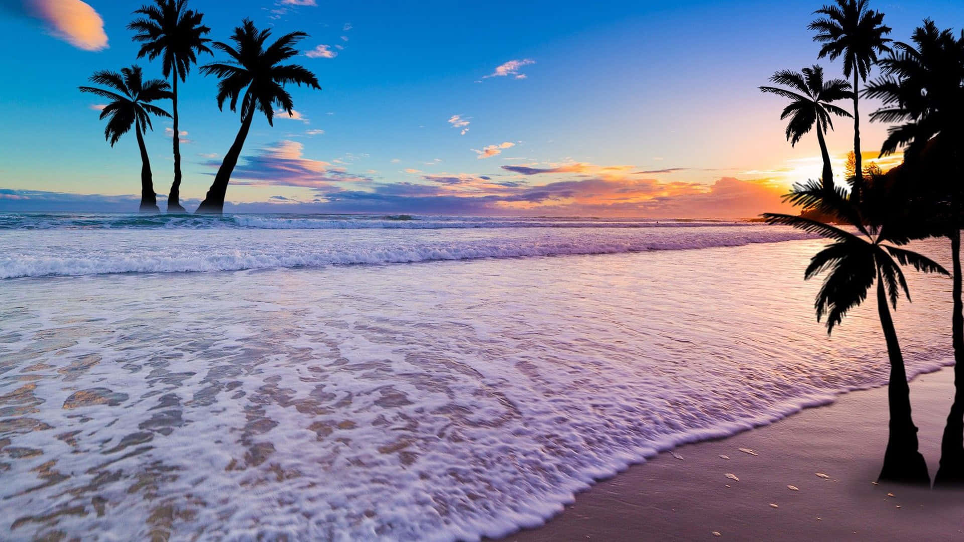 Palm Trees Beach Palmera Playa, sunset, orange, Full HD Desktop Wallpaper