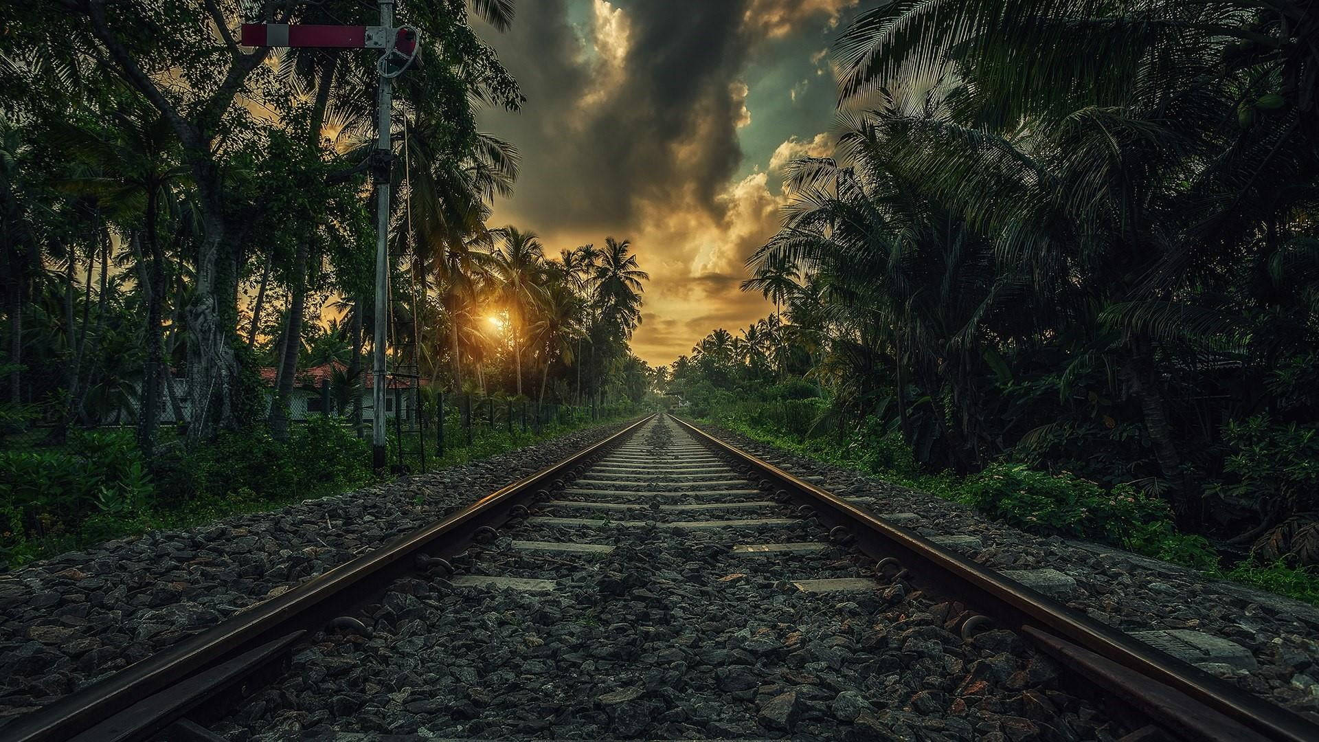 Palm Tree Sunset, railroad track, tropical jungle, Full HD Desktop Wallpaper