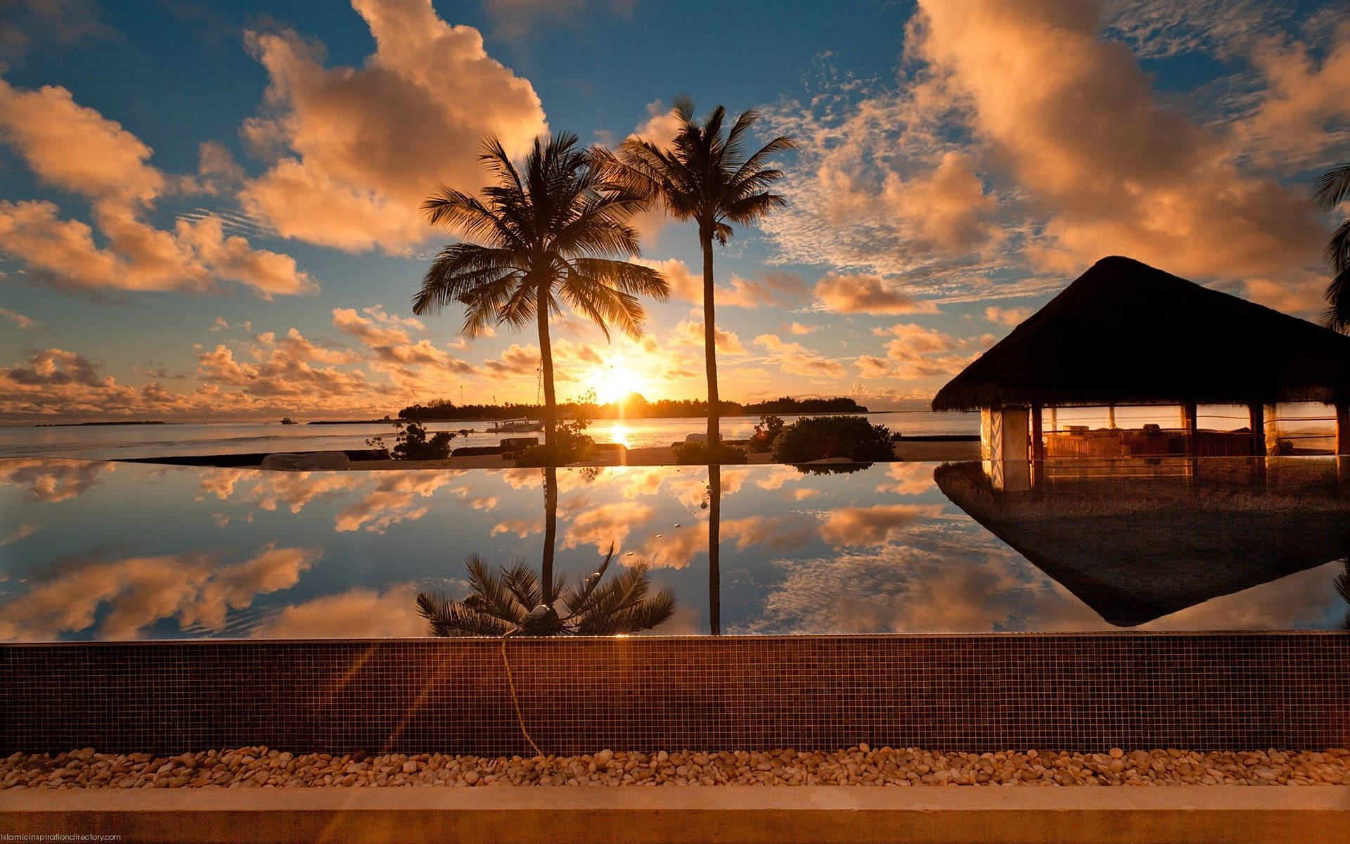 palm trees, infinity pool, thatched hut, Full HD Desktop Wallpaper