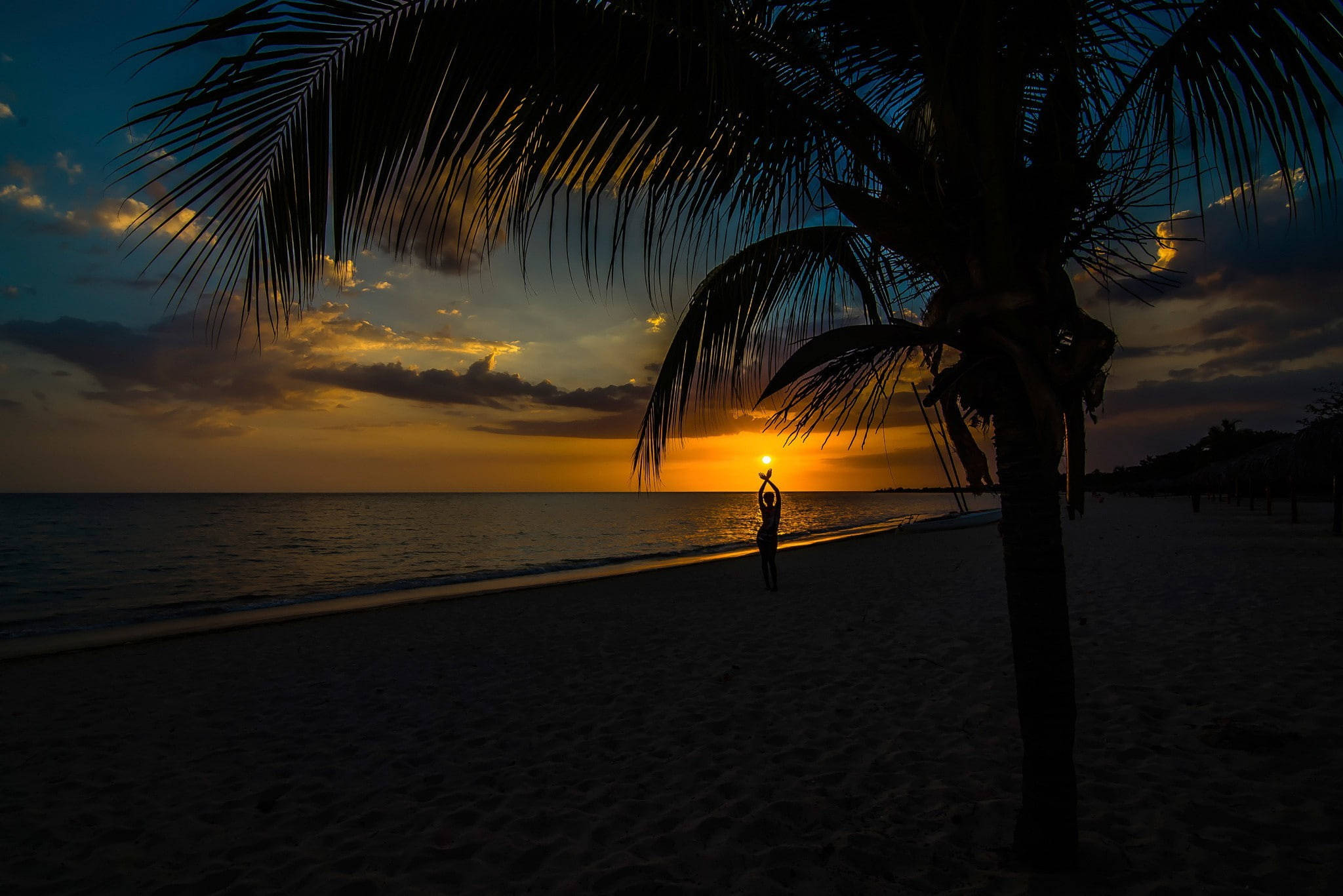 Palm Tree Sunset, sunset, beach, Full HD Desktop Wallpaper