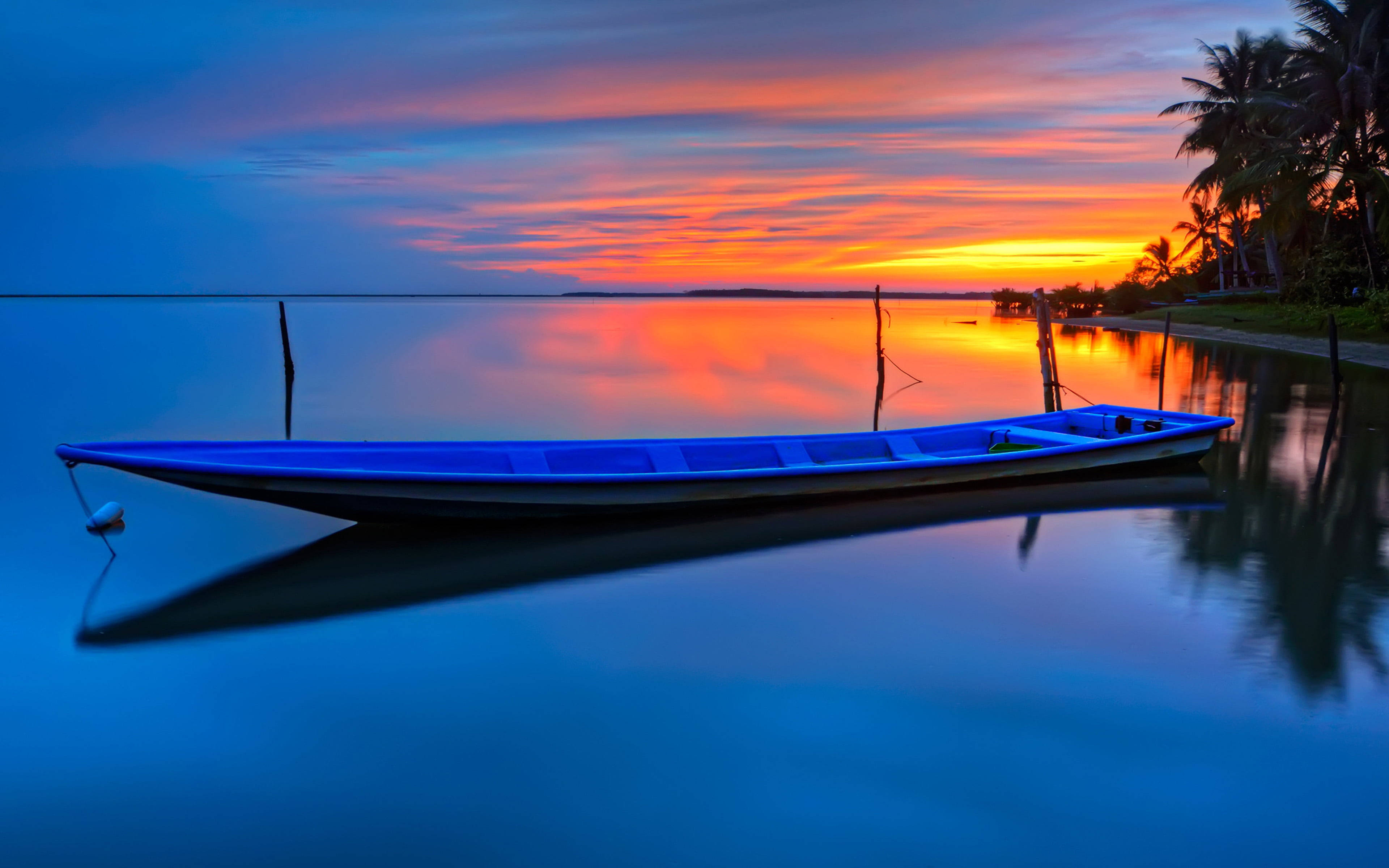 Palm Tree Sunset Boat, vibrant blue boat, fiery orange and pink sunset, 4K Desktop Wallpaper