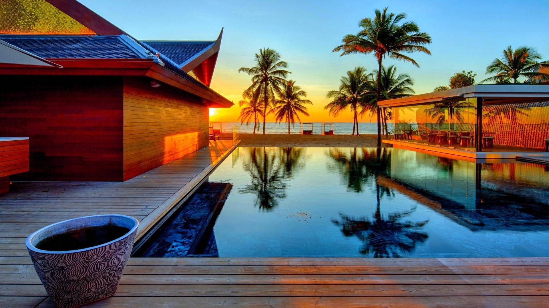 Palm Tree Sunset, infinity pool, sunset, Full HD Desktop Wallpaper