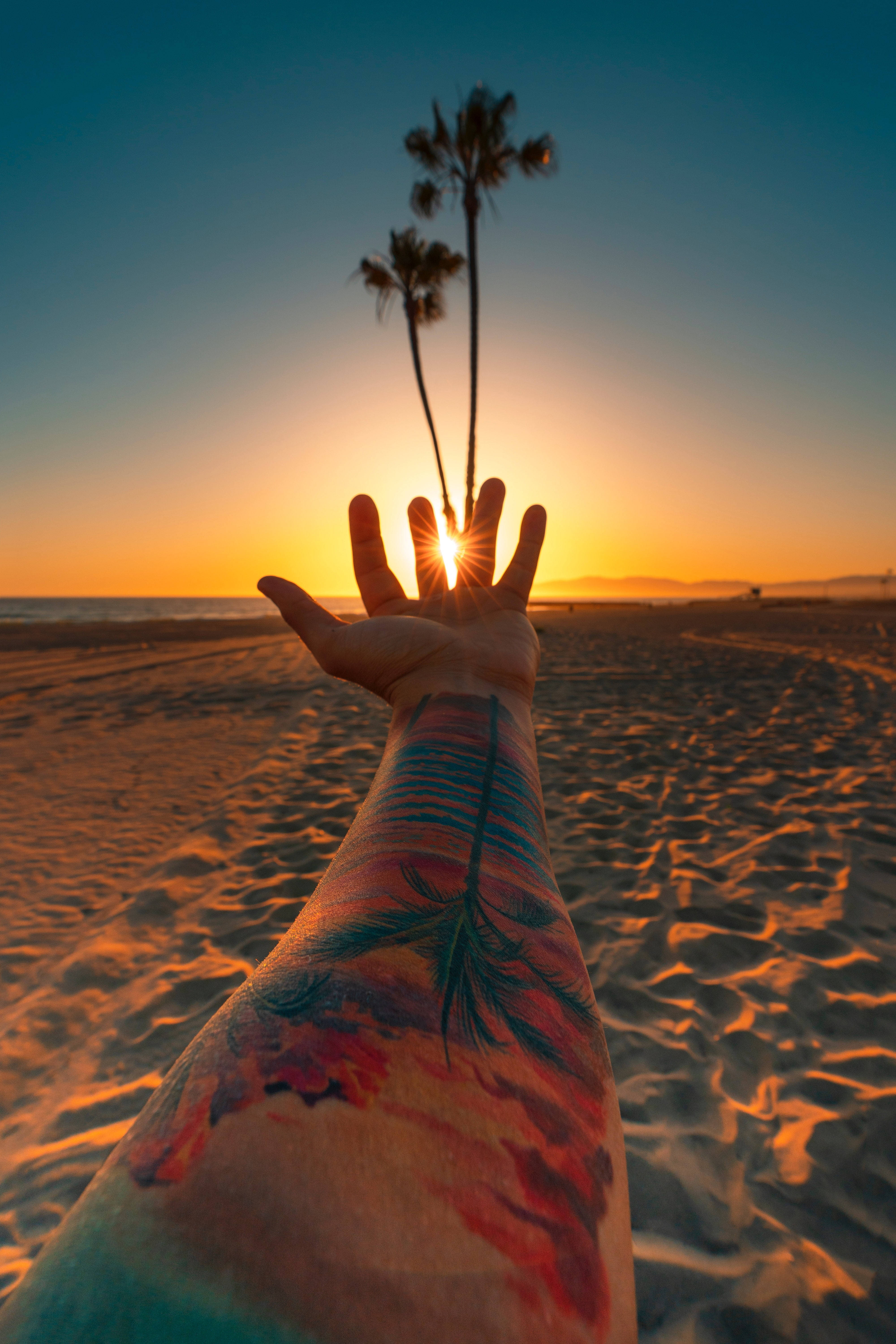 Palm Tree Sunset, tattooed arm, fingers framing palm trees, 5K Phone Wallpaper