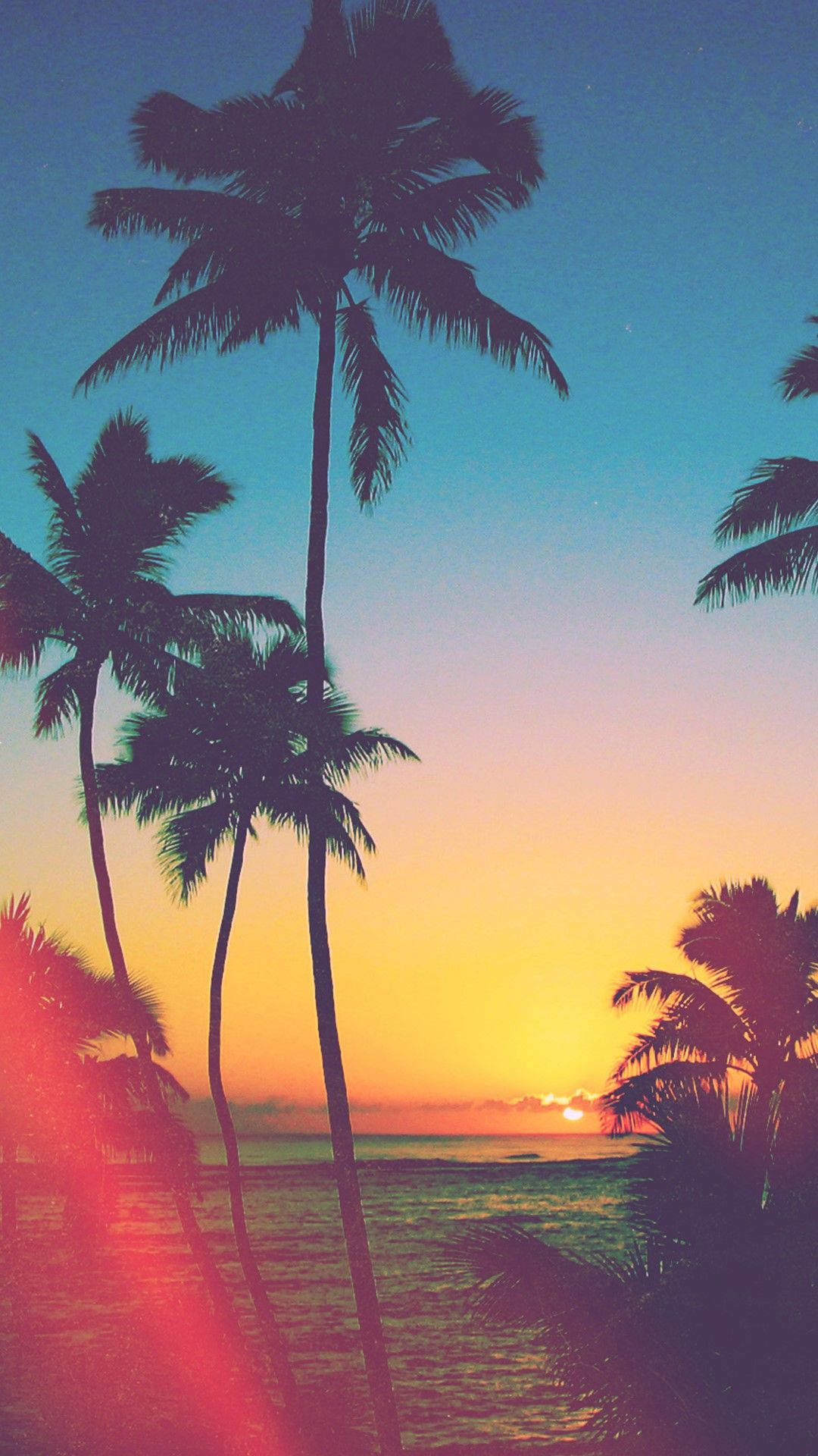 palm trees, sunset, ocean waters, Full HD Phone Wallpaper