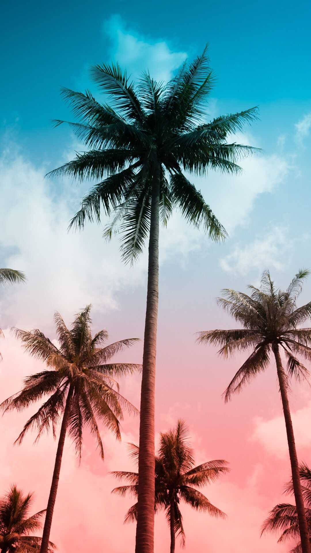 palm trees, vibrant sky, pink, Full HD Phone Wallpaper