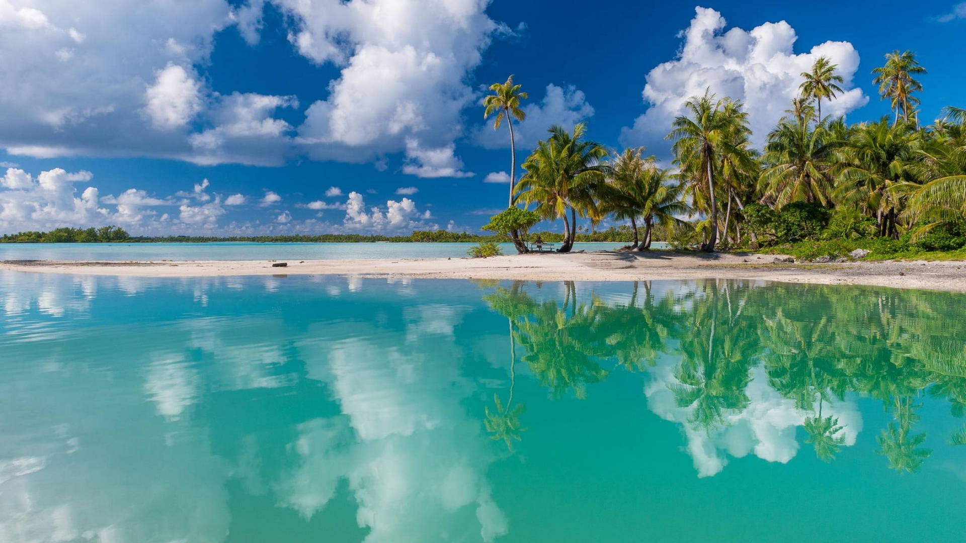 tropical beach, turquoise water, palm trees, Full HD Desktop Wallpaper