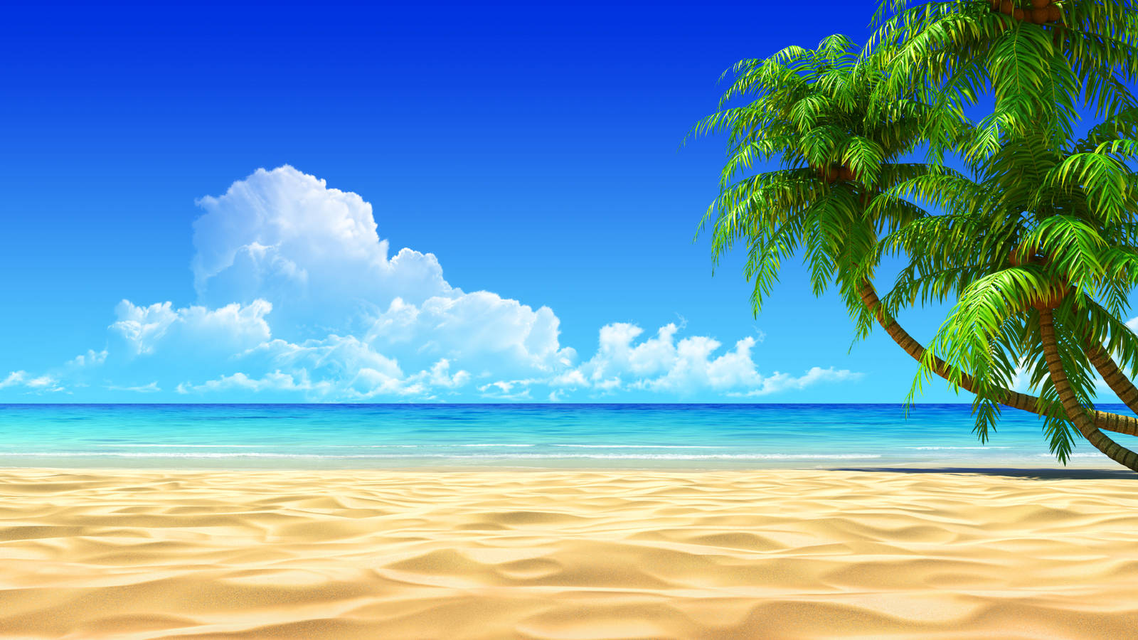 palm tree, golden sand, turquoise water, HD Desktop Wallpaper