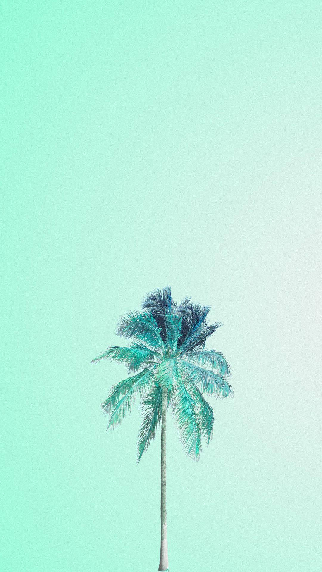 mint green, palm tree, gradient mint green sky, Full HD Phone Wallpaper