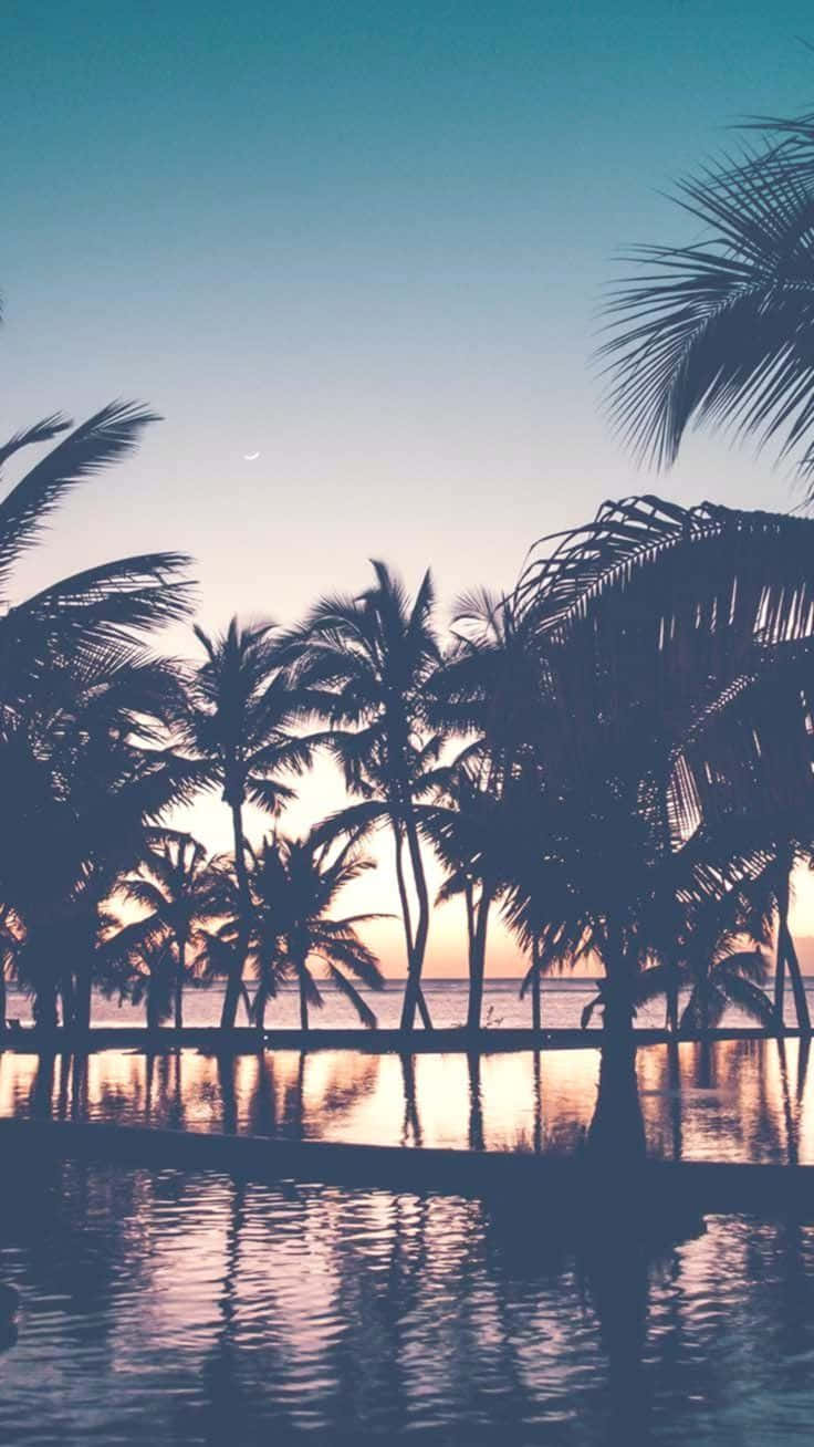 Palm Trees, crescent moon, calm water, HD Phone Wallpaper