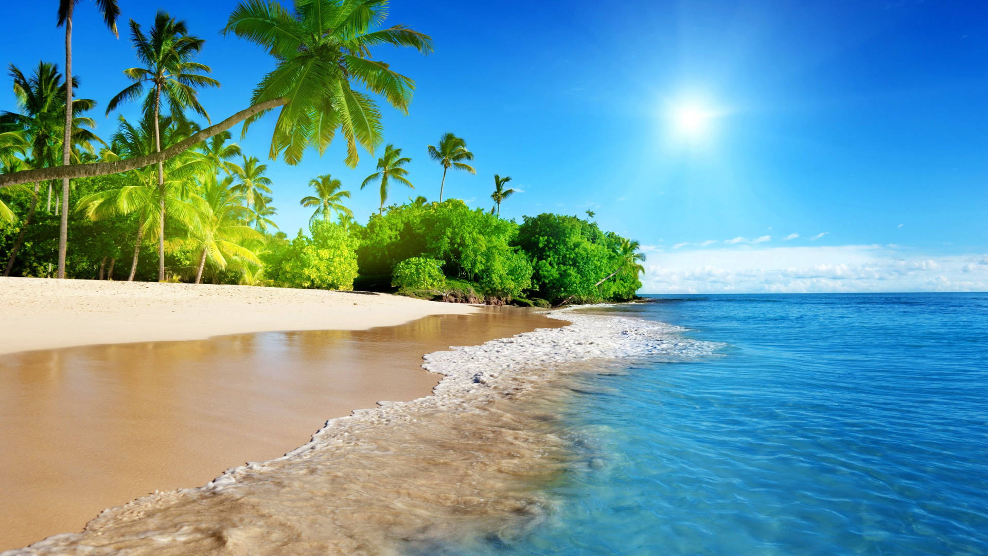 turquoise waves, golden beach, swaying palm trees, Full HD Desktop Wallpaper