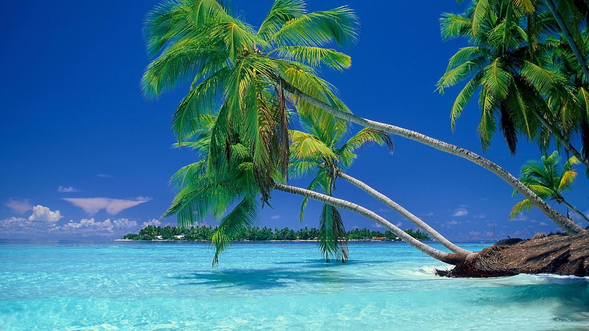 1920x1080 HD, summer tropical paradise, vibrant turquoise waters, Full HD Desktop Wallpaper
