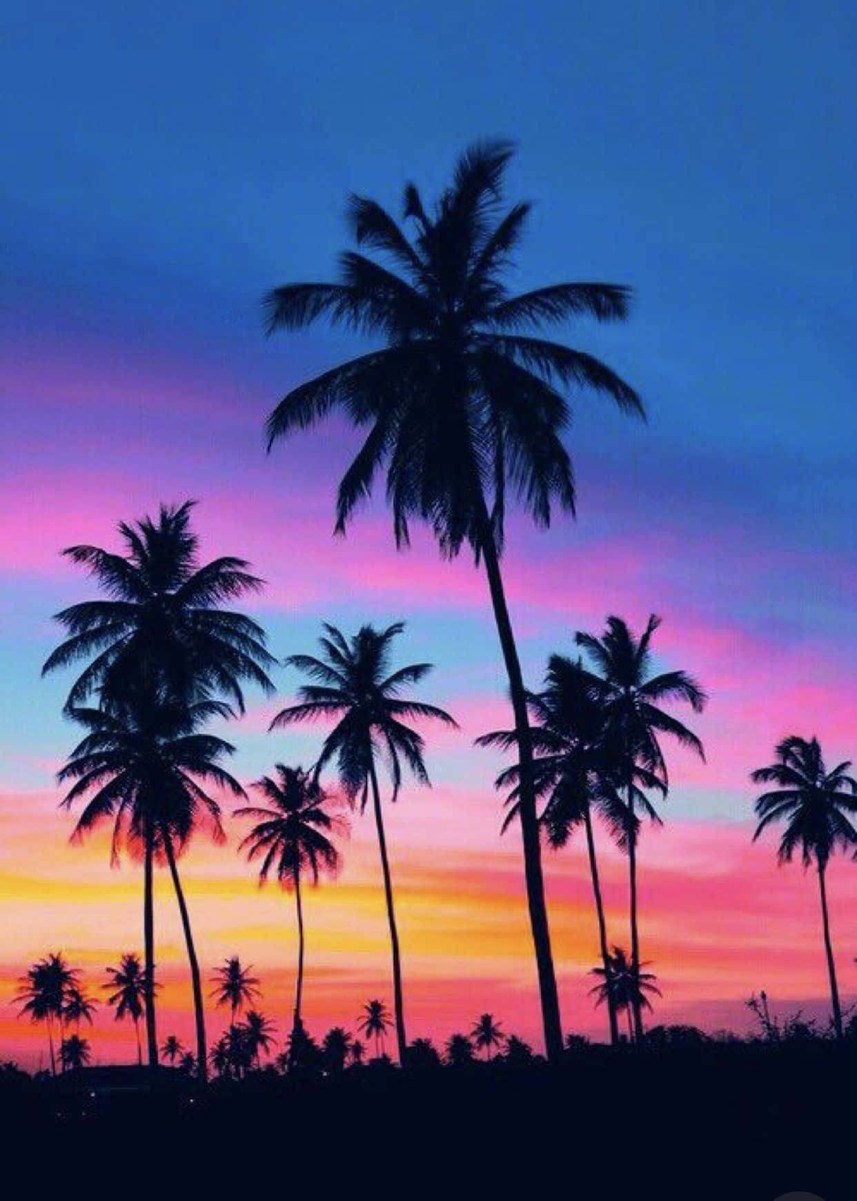 palm tree, iPhone, twilight sky, HD Phone Wallpaper